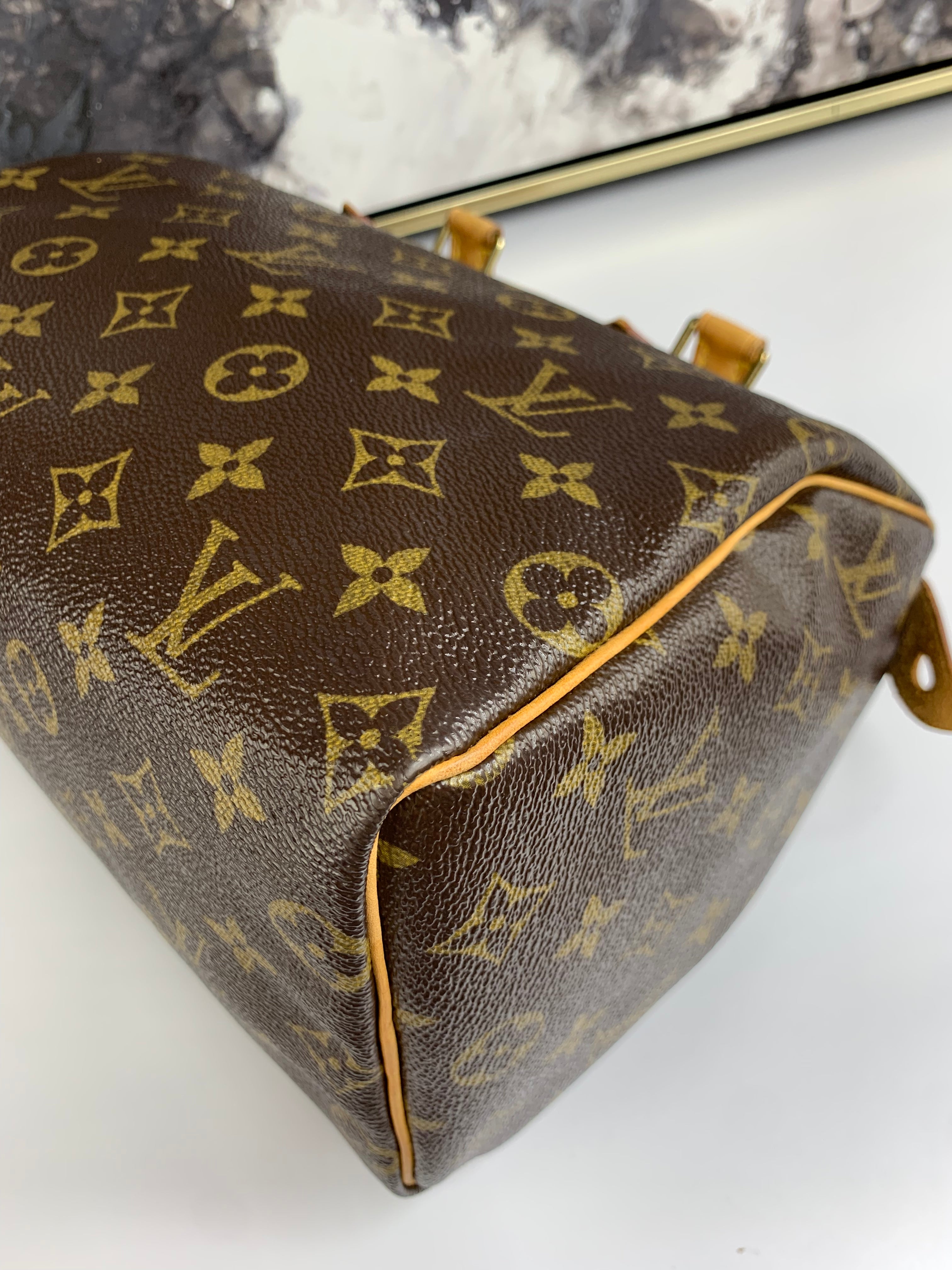 Louis Vuitton Speedy 25