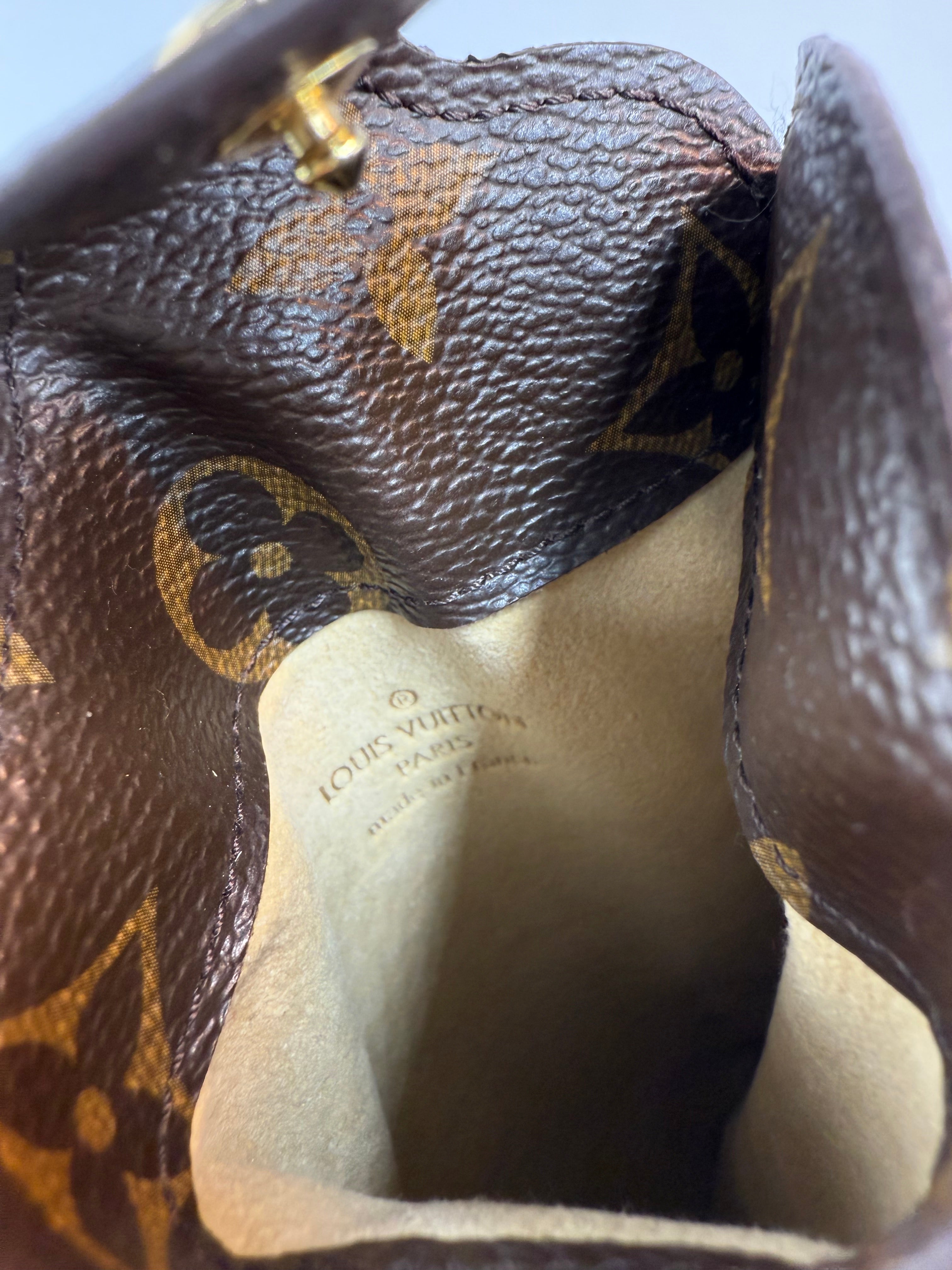 Louis Vuitton Sunglass Case MM