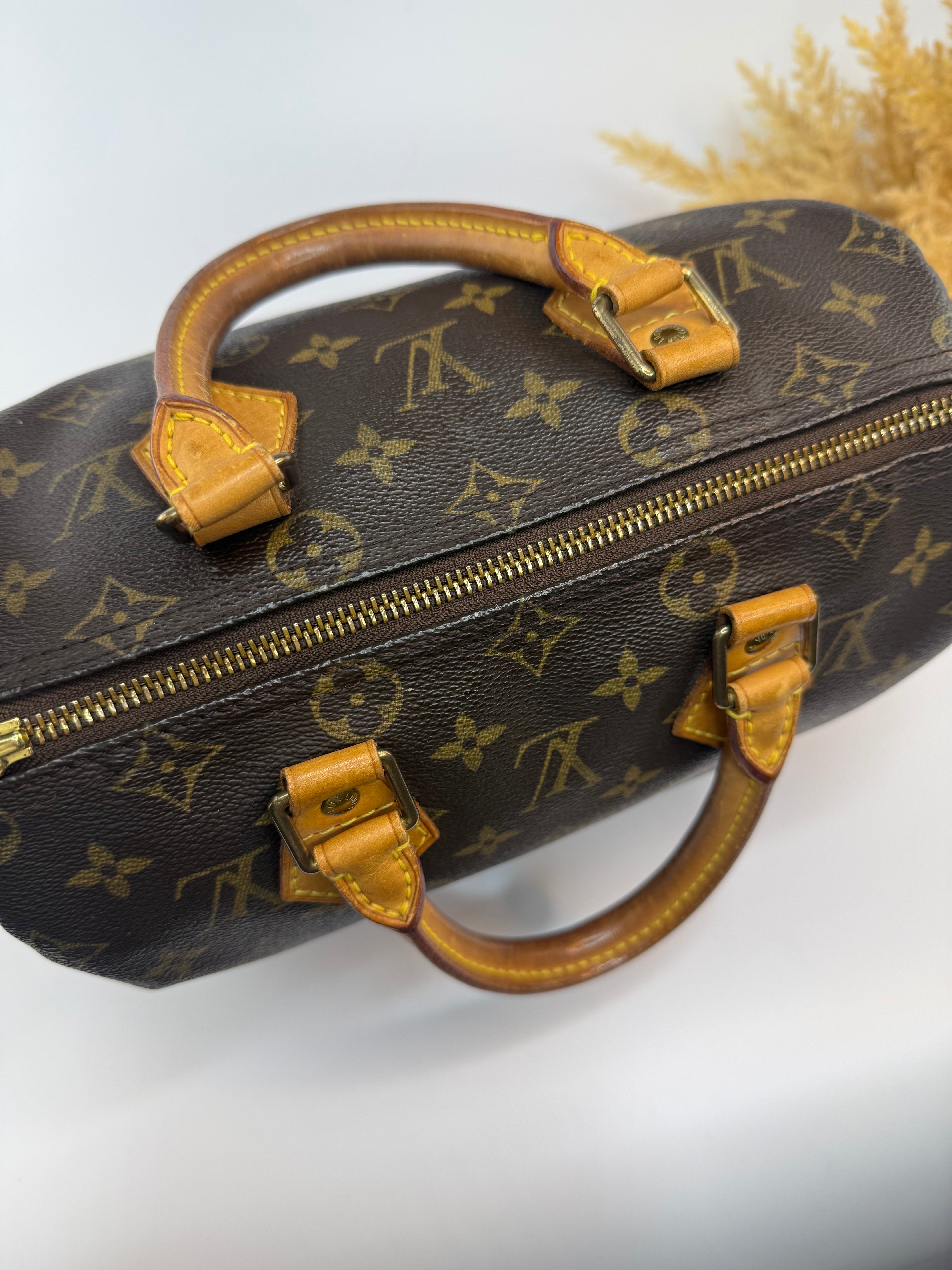 Louis Vuitton Speedy 25