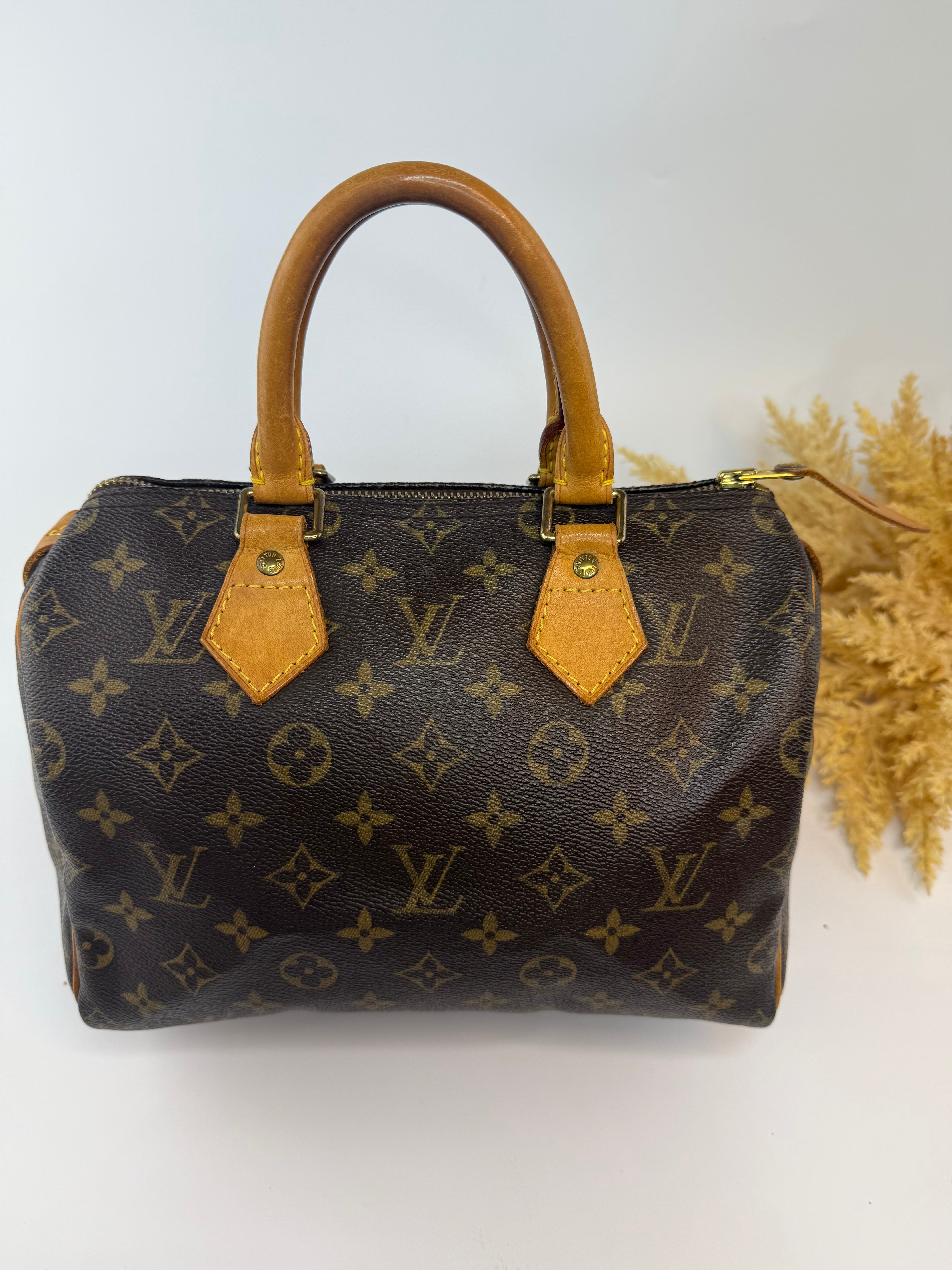 Louis Vuitton Speedy 25