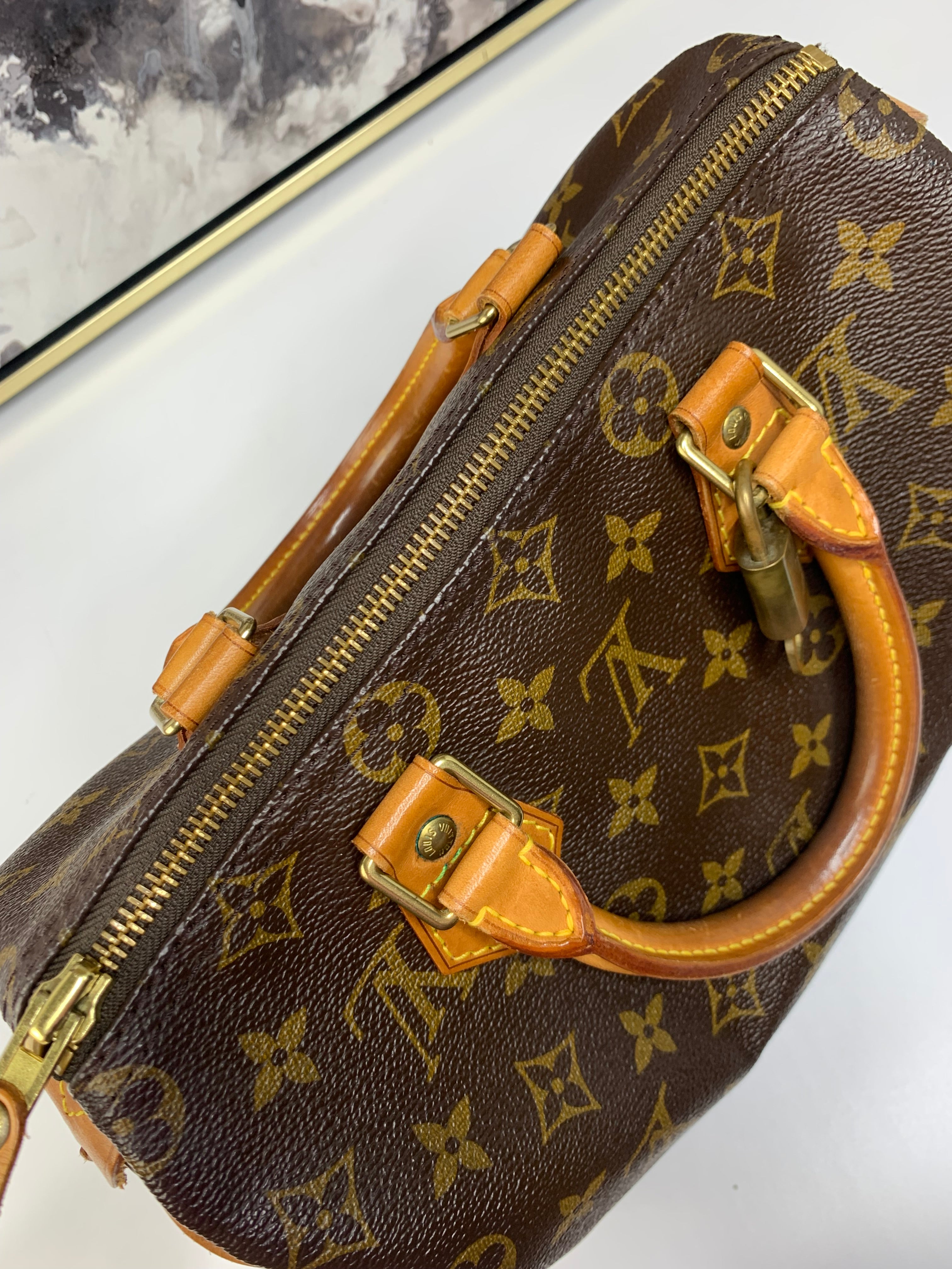 Louis Vuitton Speedy 25