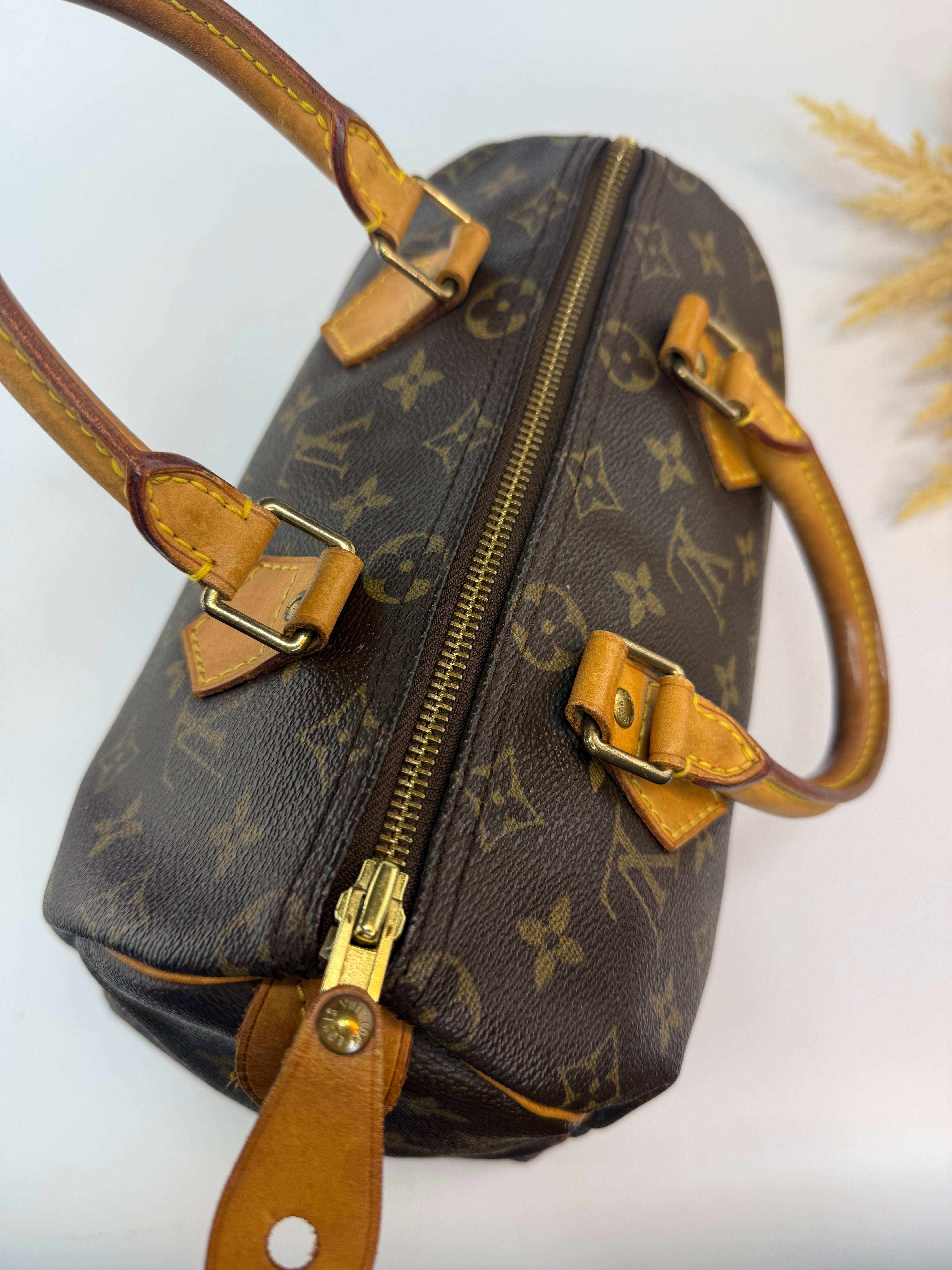 Louis Vuitton Speedy 25
