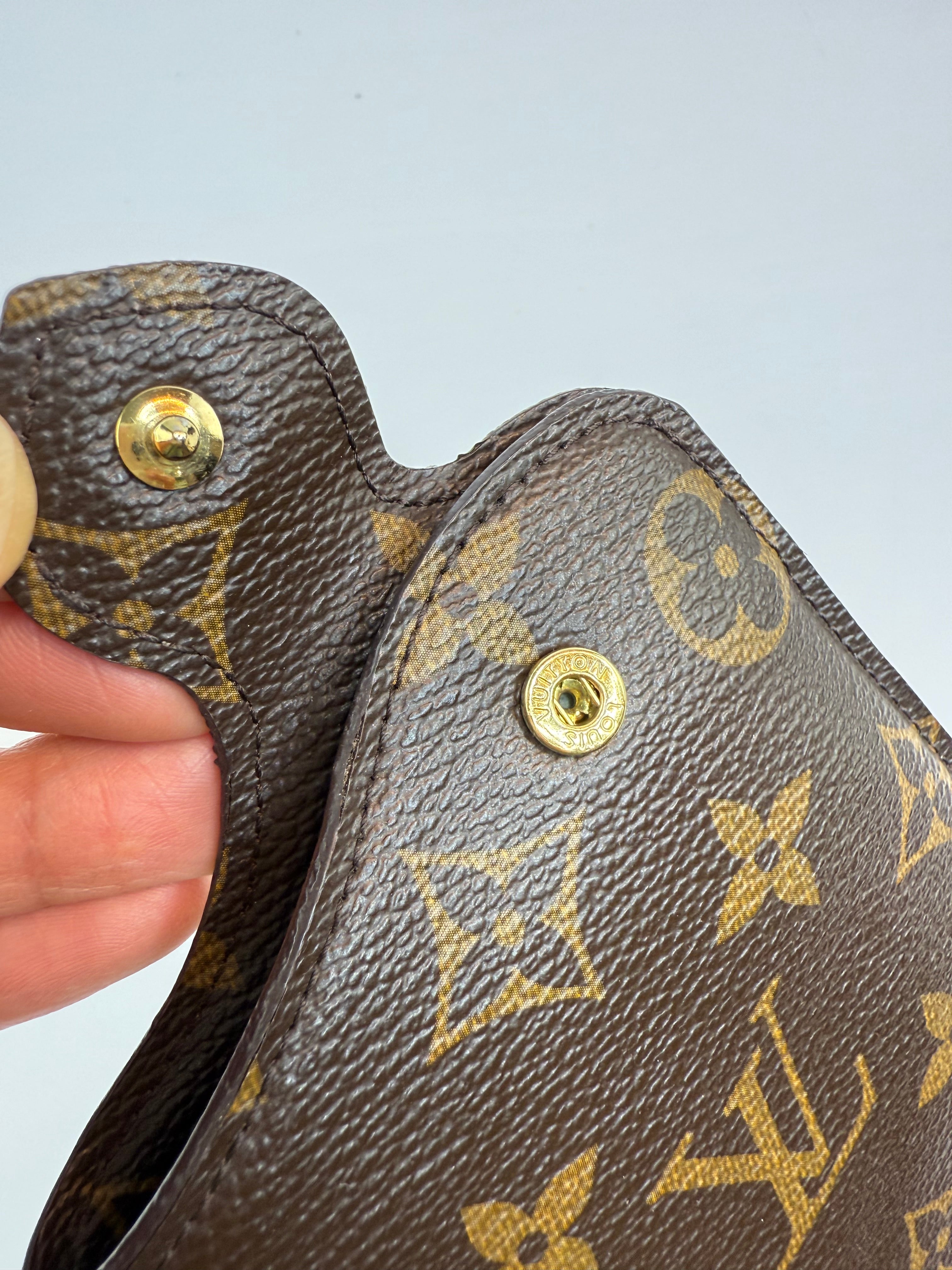 Louis Vuitton Sunglass Case MM