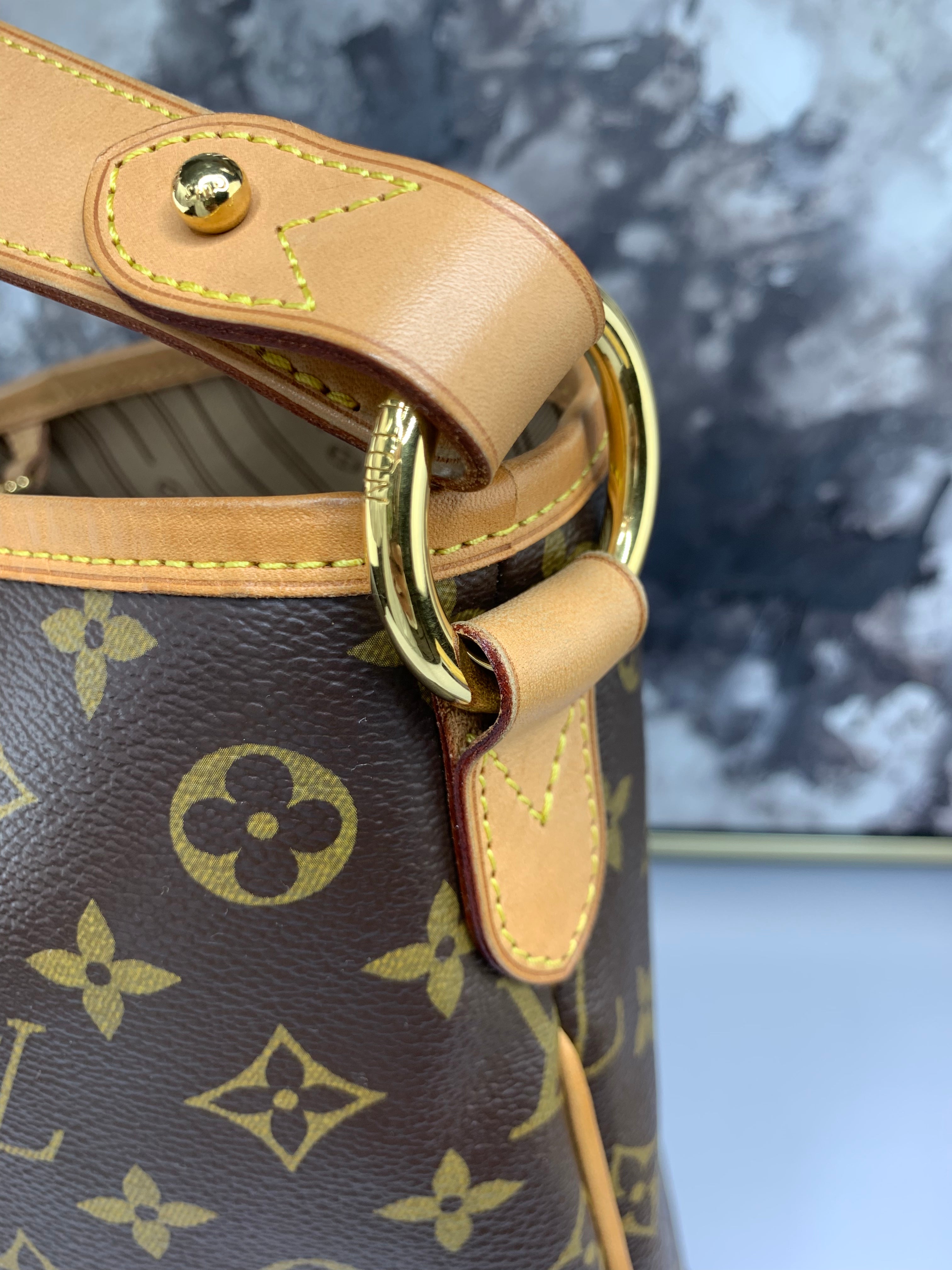 Louis Vuitton Delightful MM – yourvintagelvoe