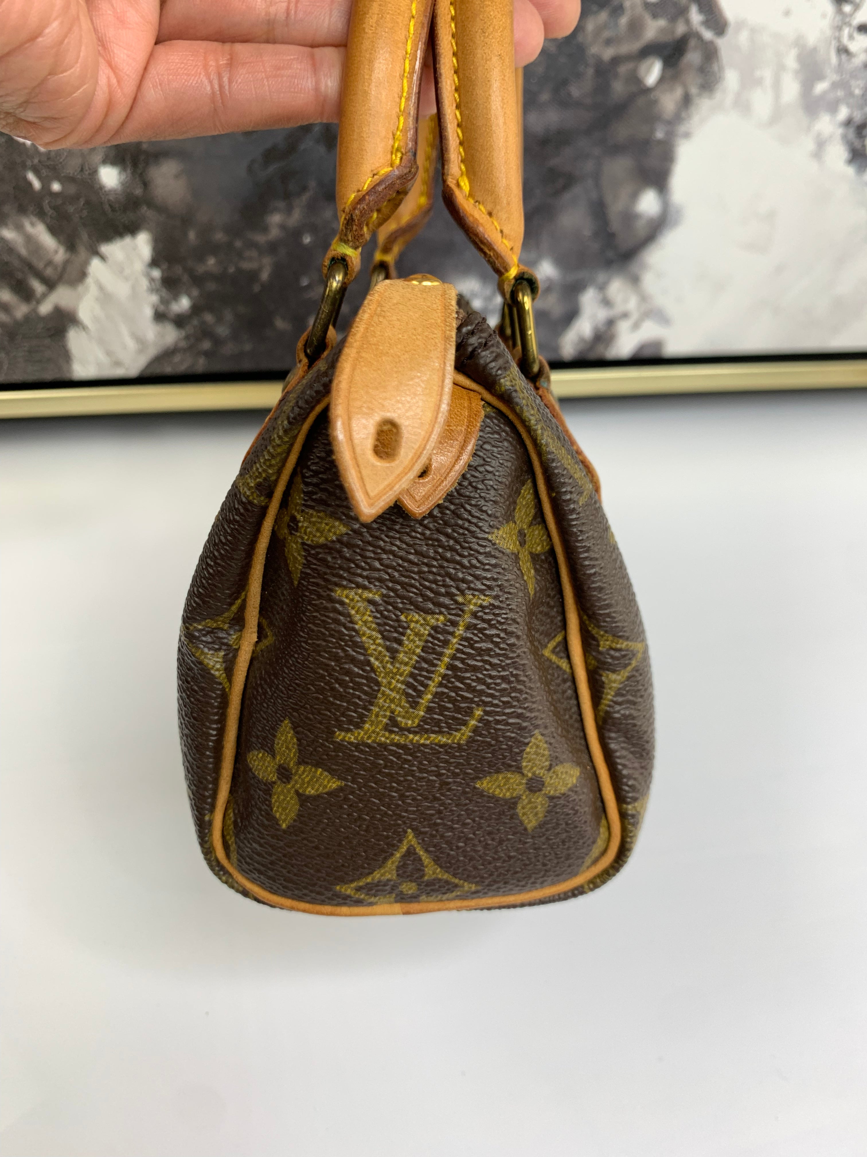 Louis Vuitton Mini Speedy