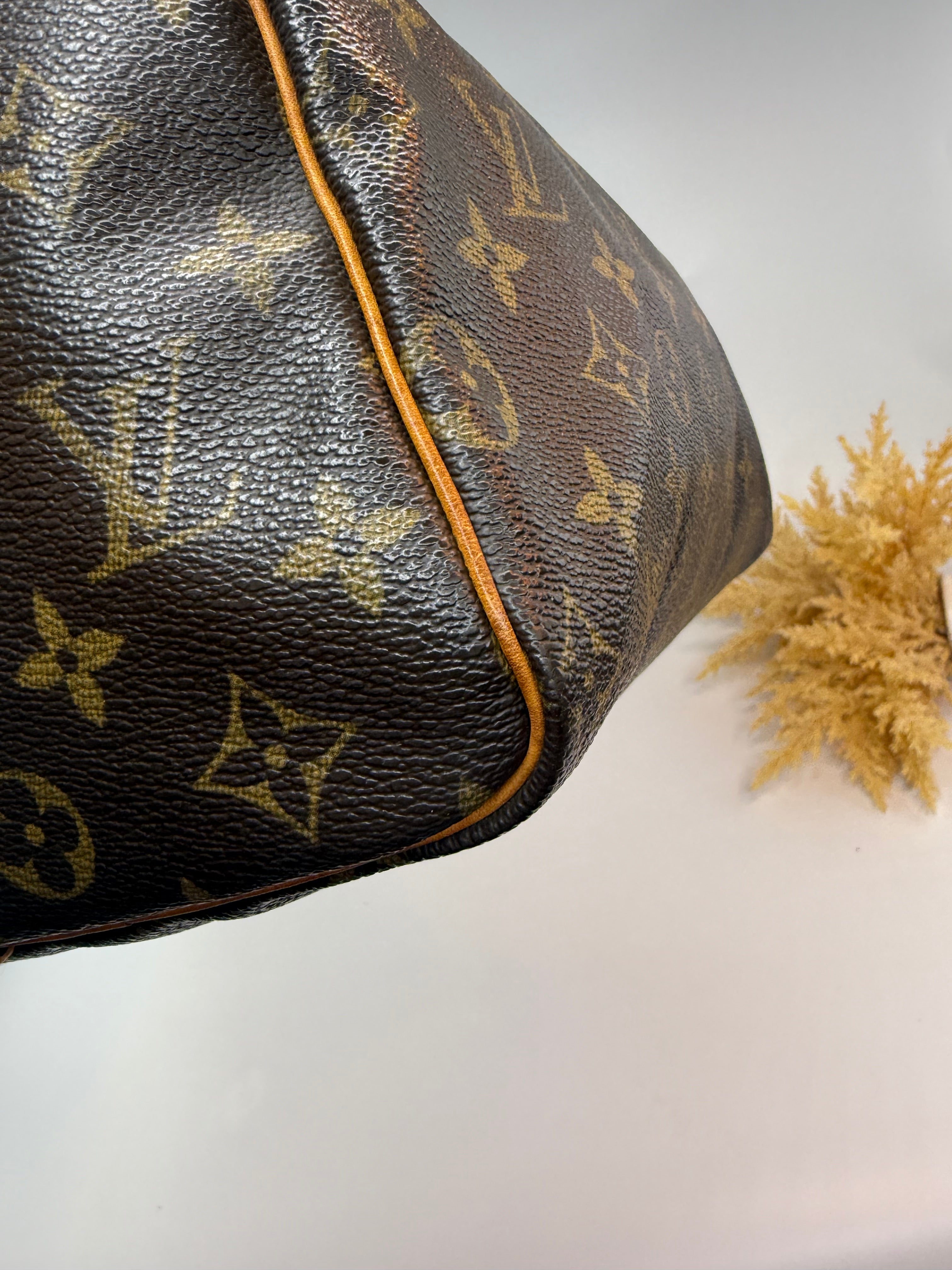 Louis Vuitton Speedy 25