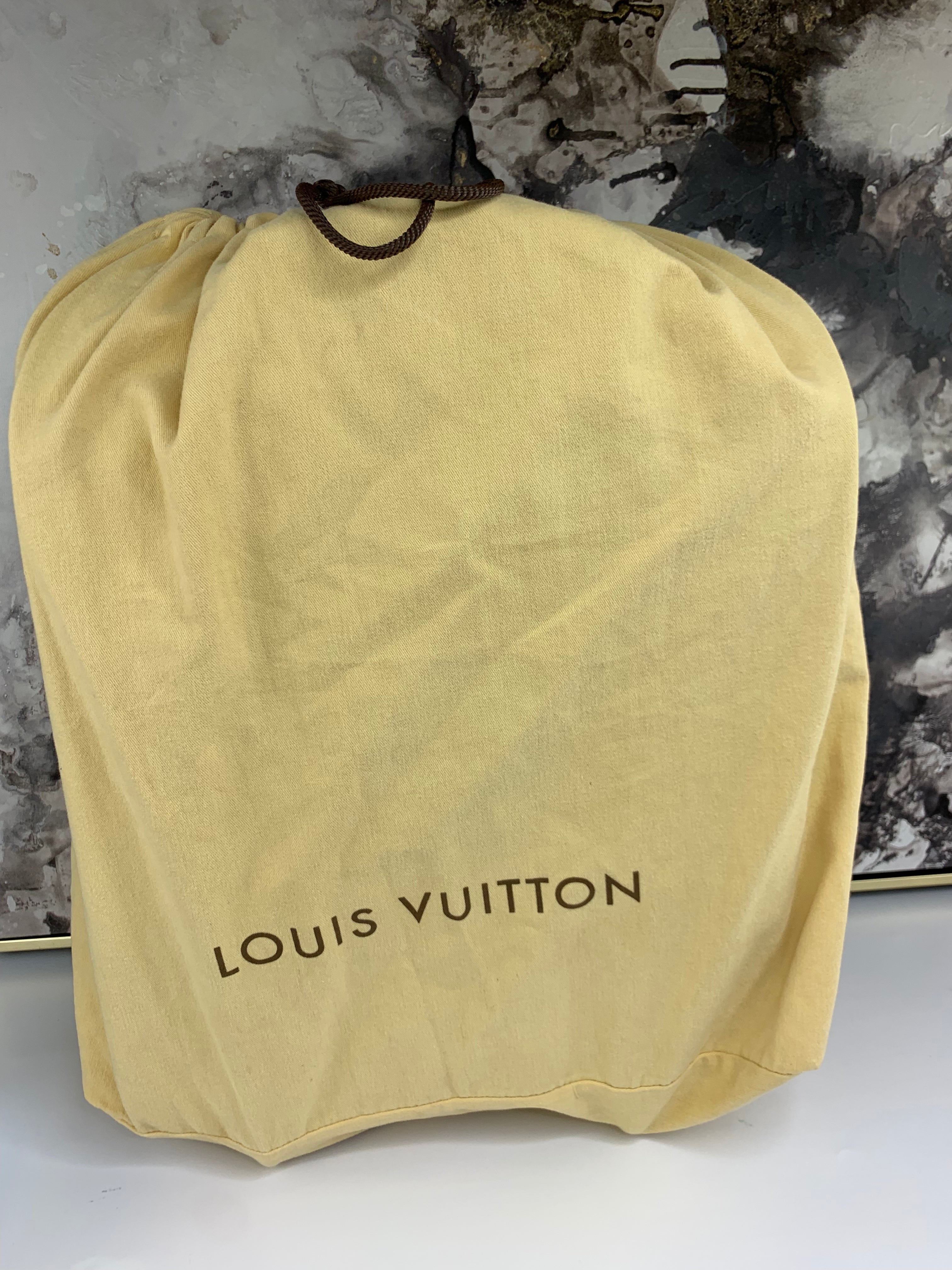 Louis Vuitton Pegase 45