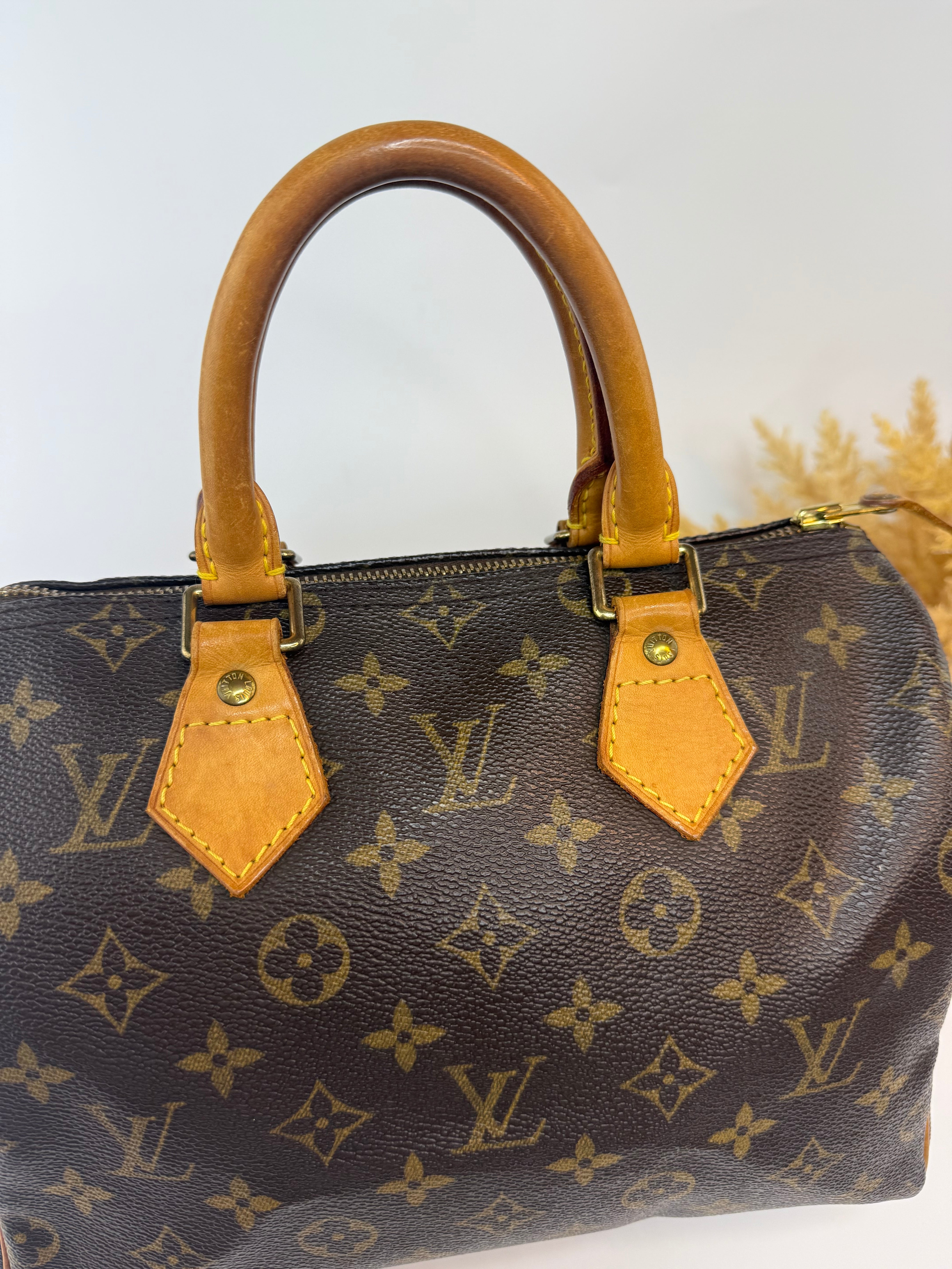 Louis Vuitton Speedy 25