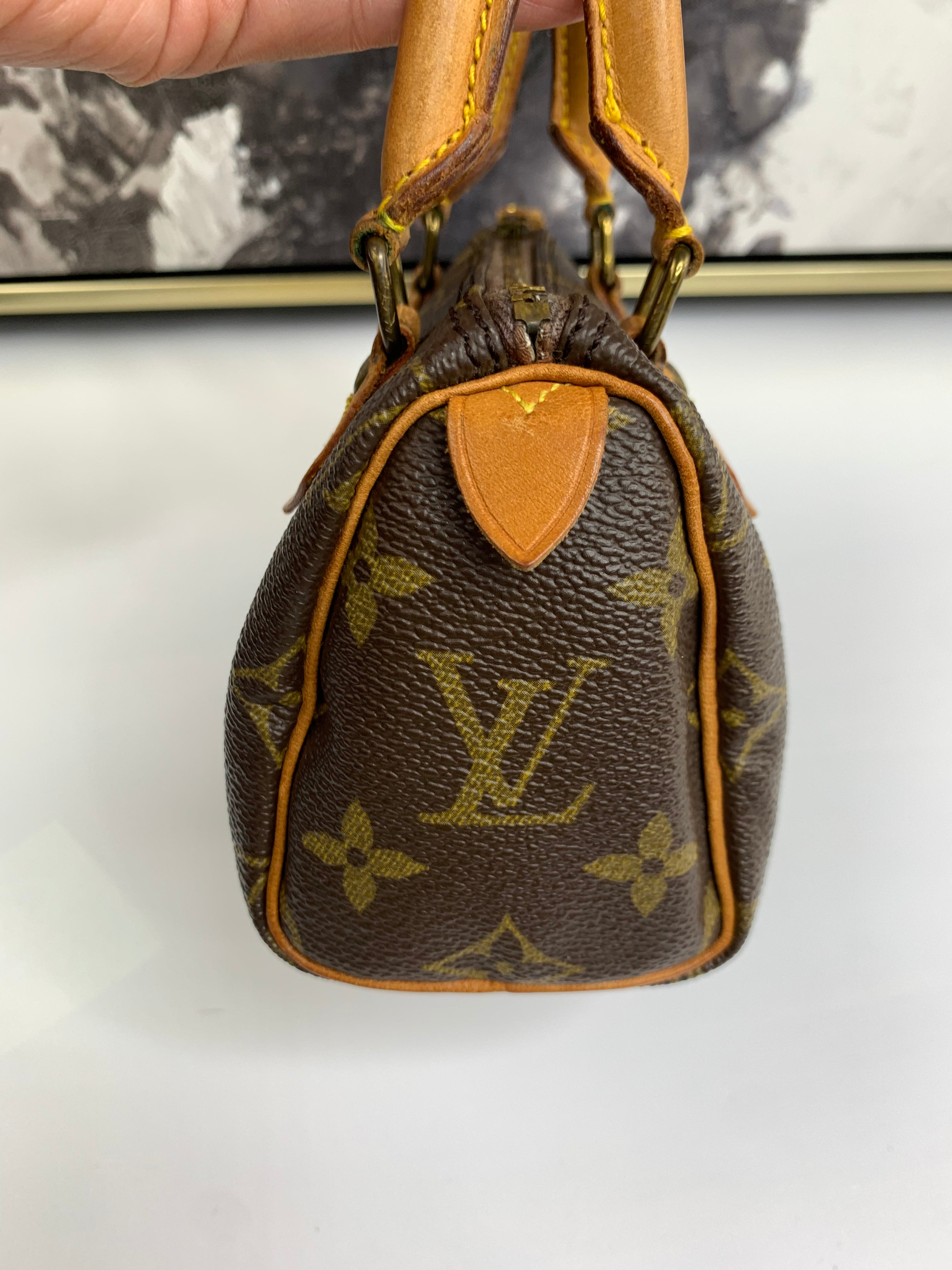 Louis Vuitton Mini Speedy