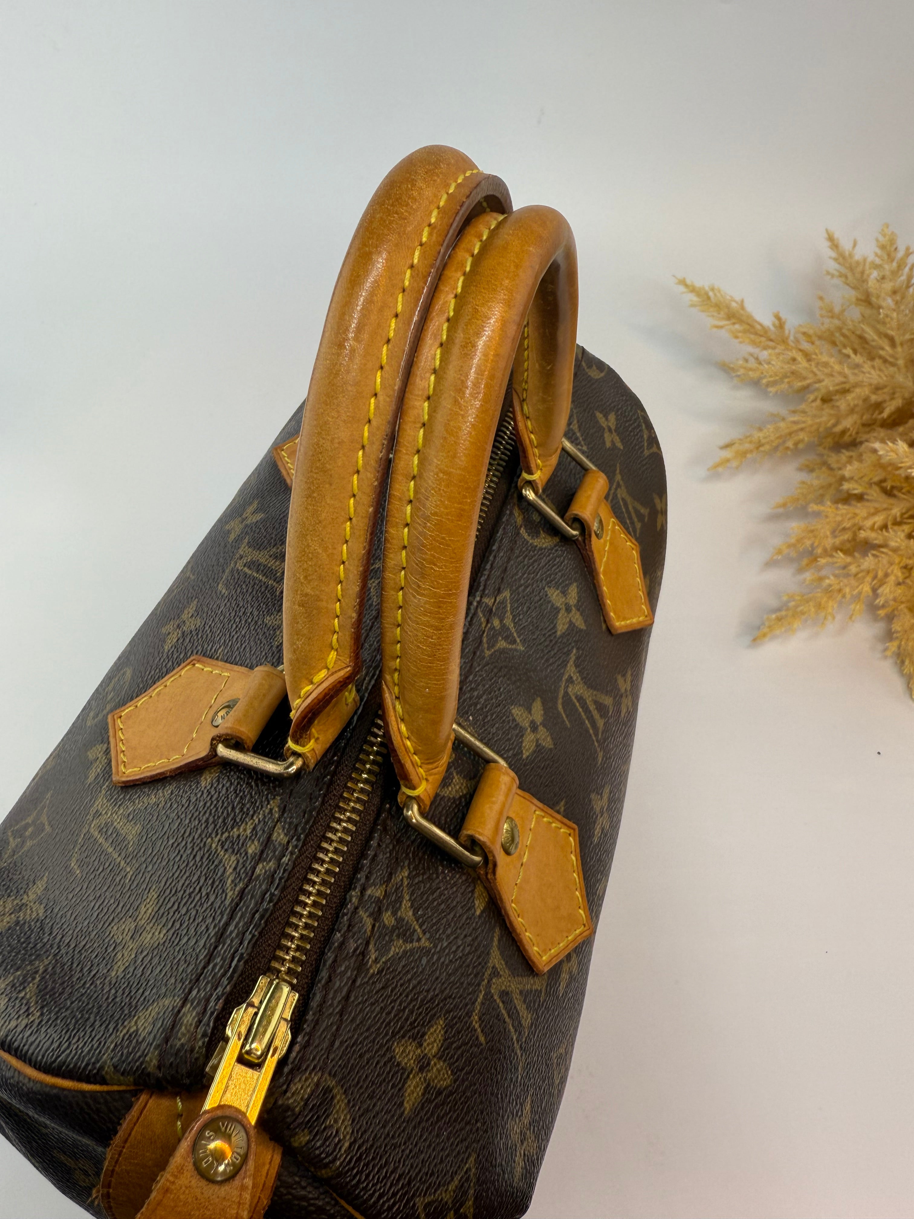 Louis Vuitton Speedy 25