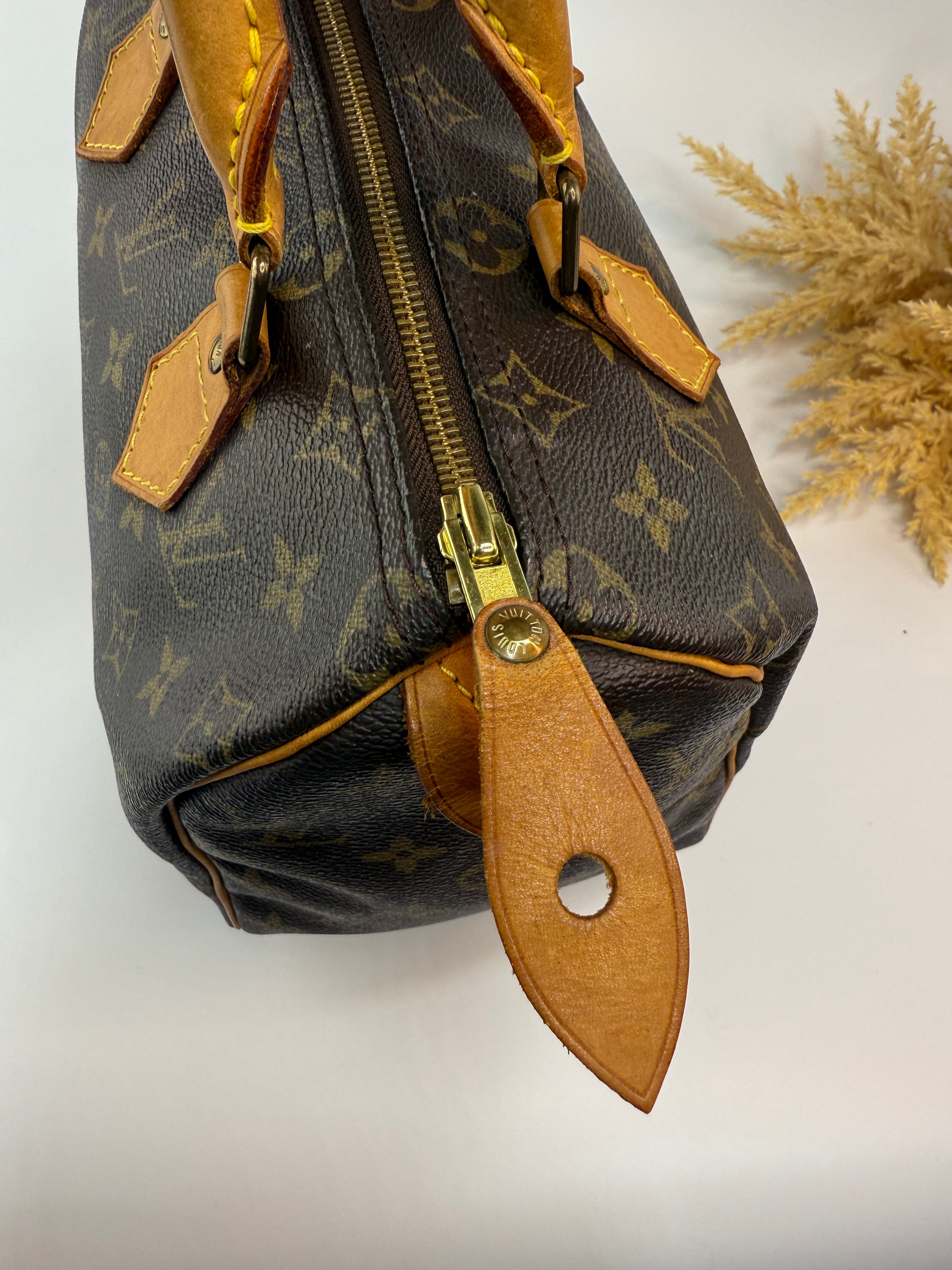 Louis Vuitton Speedy 25