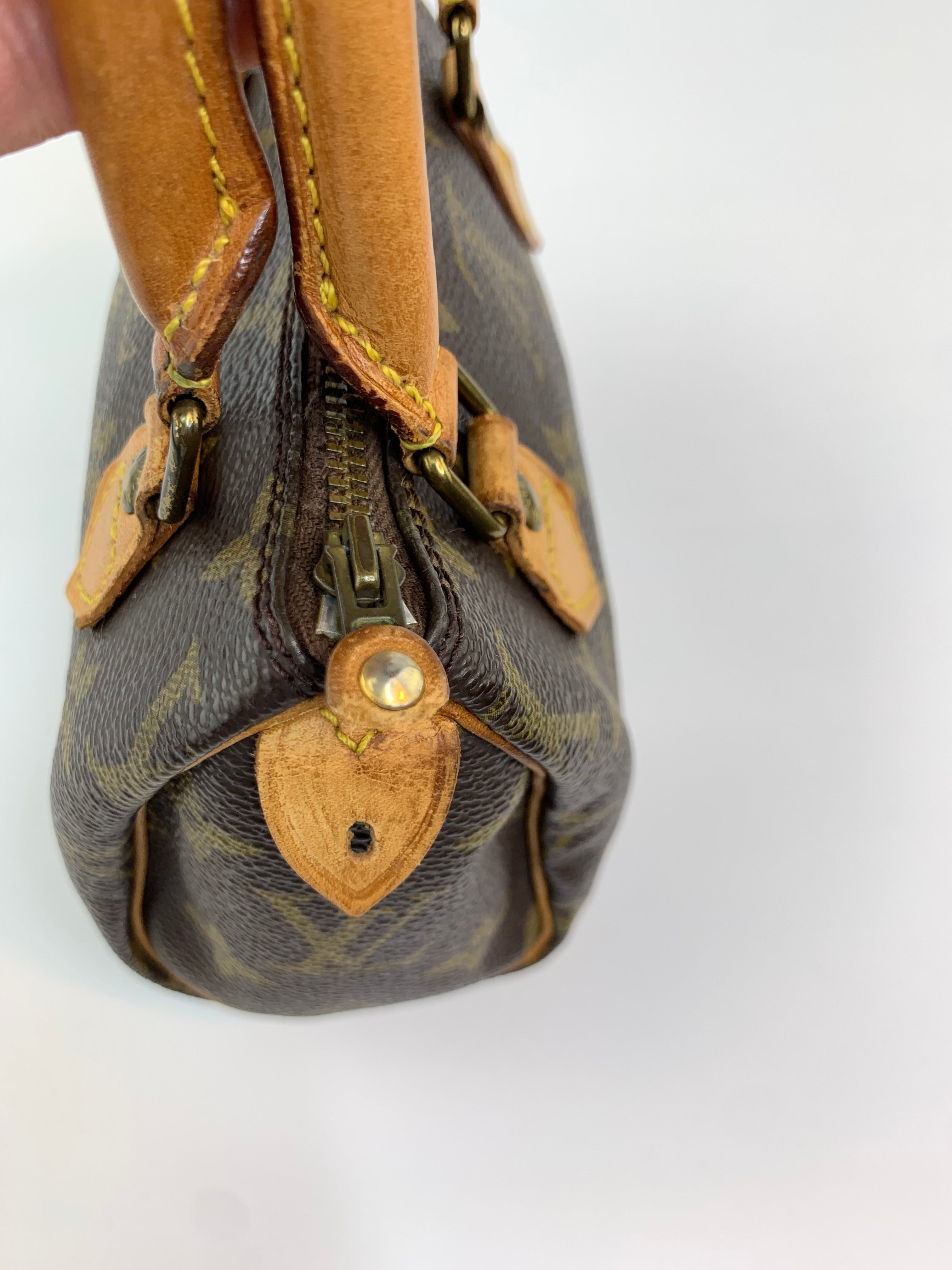 Louis Vuitton Mini Speedy