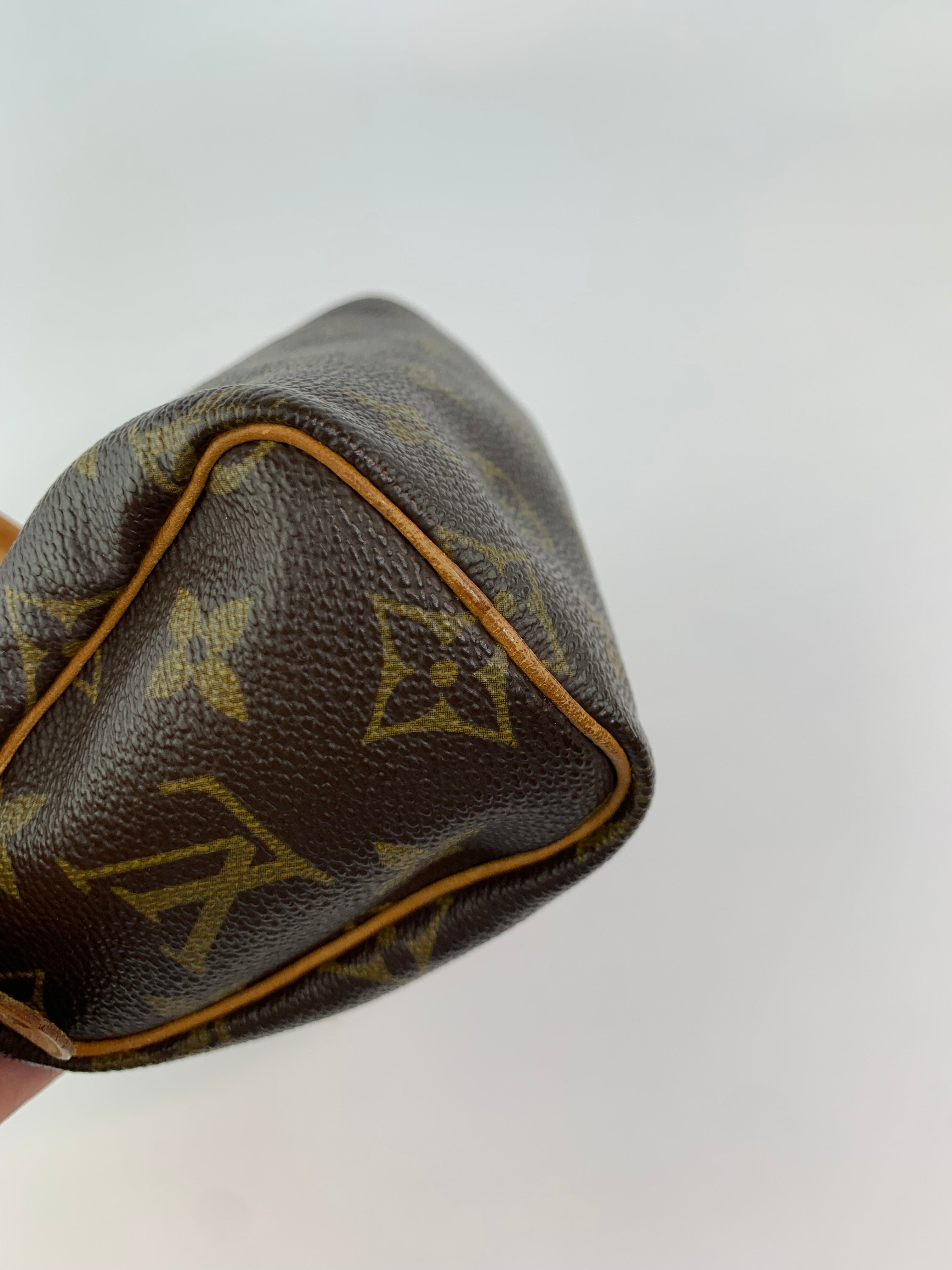 Louis Vuitton Mini Speedy