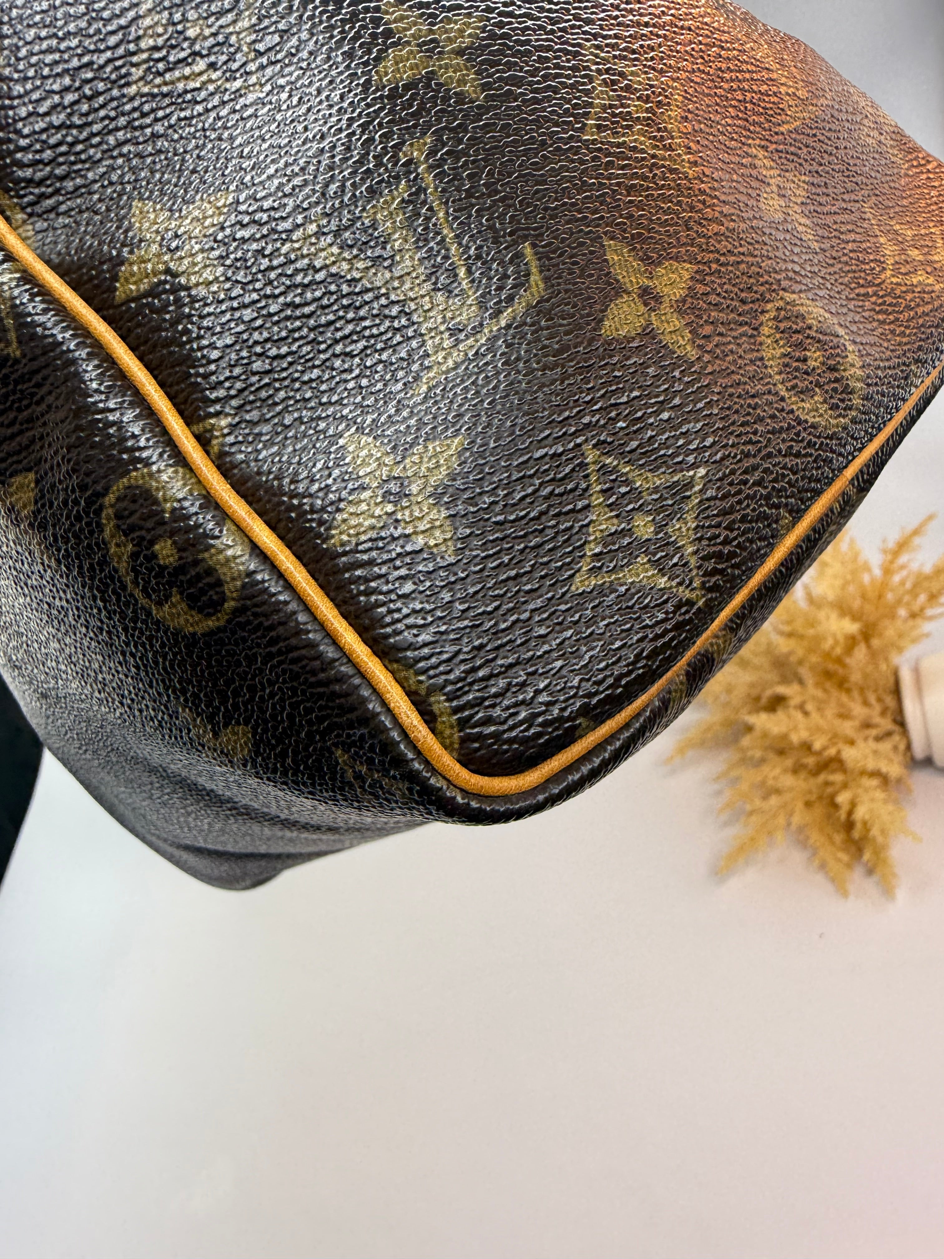Louis Vuitton Speedy 25
