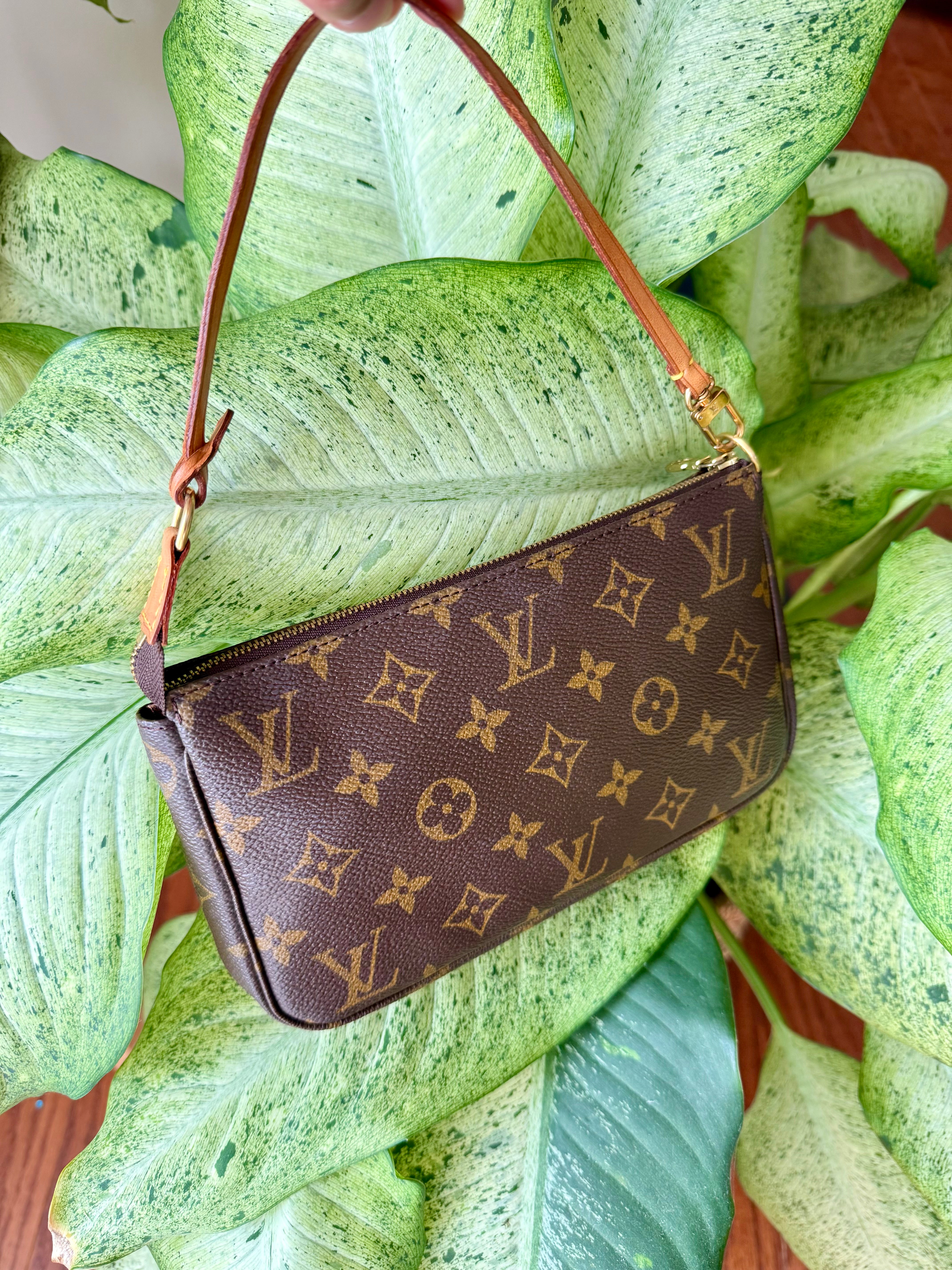 Louis Vuitton Pochette Accessories