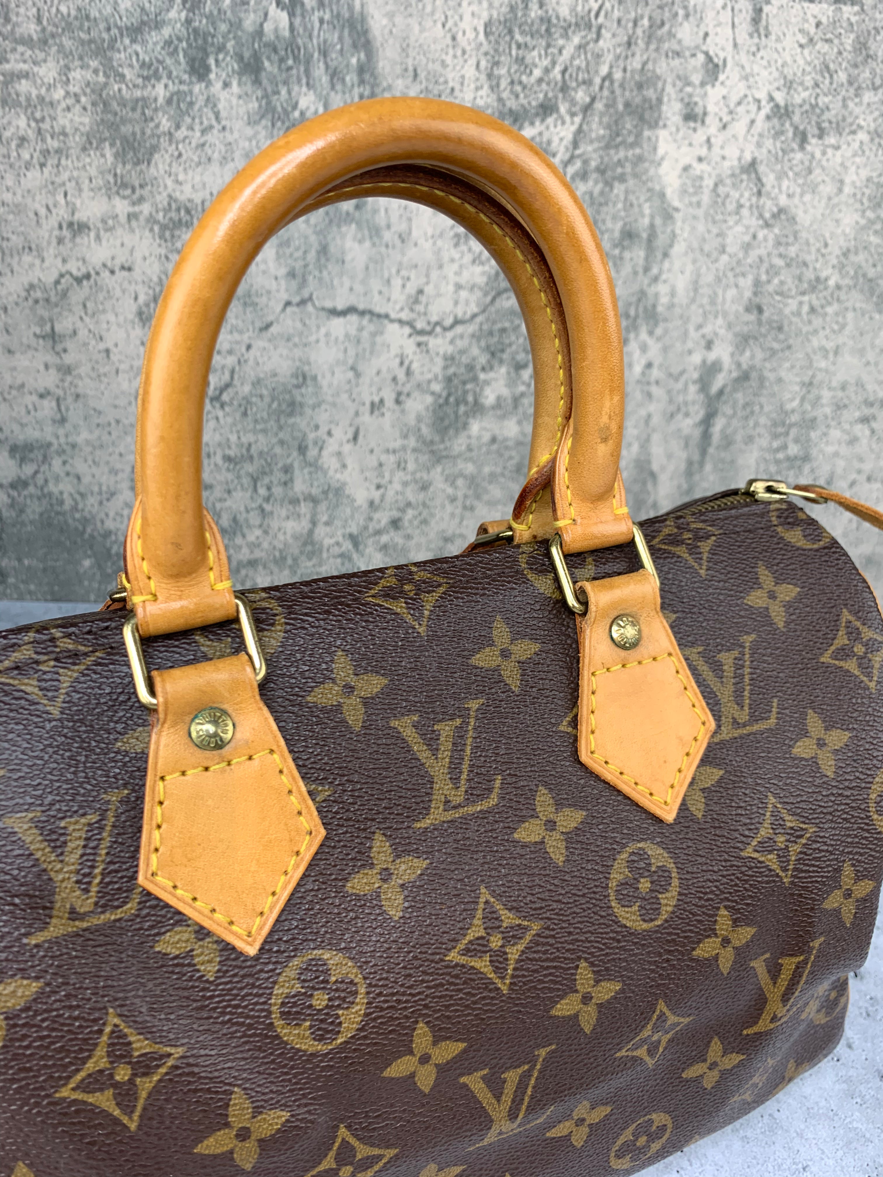 Louis Vuitton Speedy 25