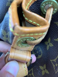 Louis Vuitton Noe GM