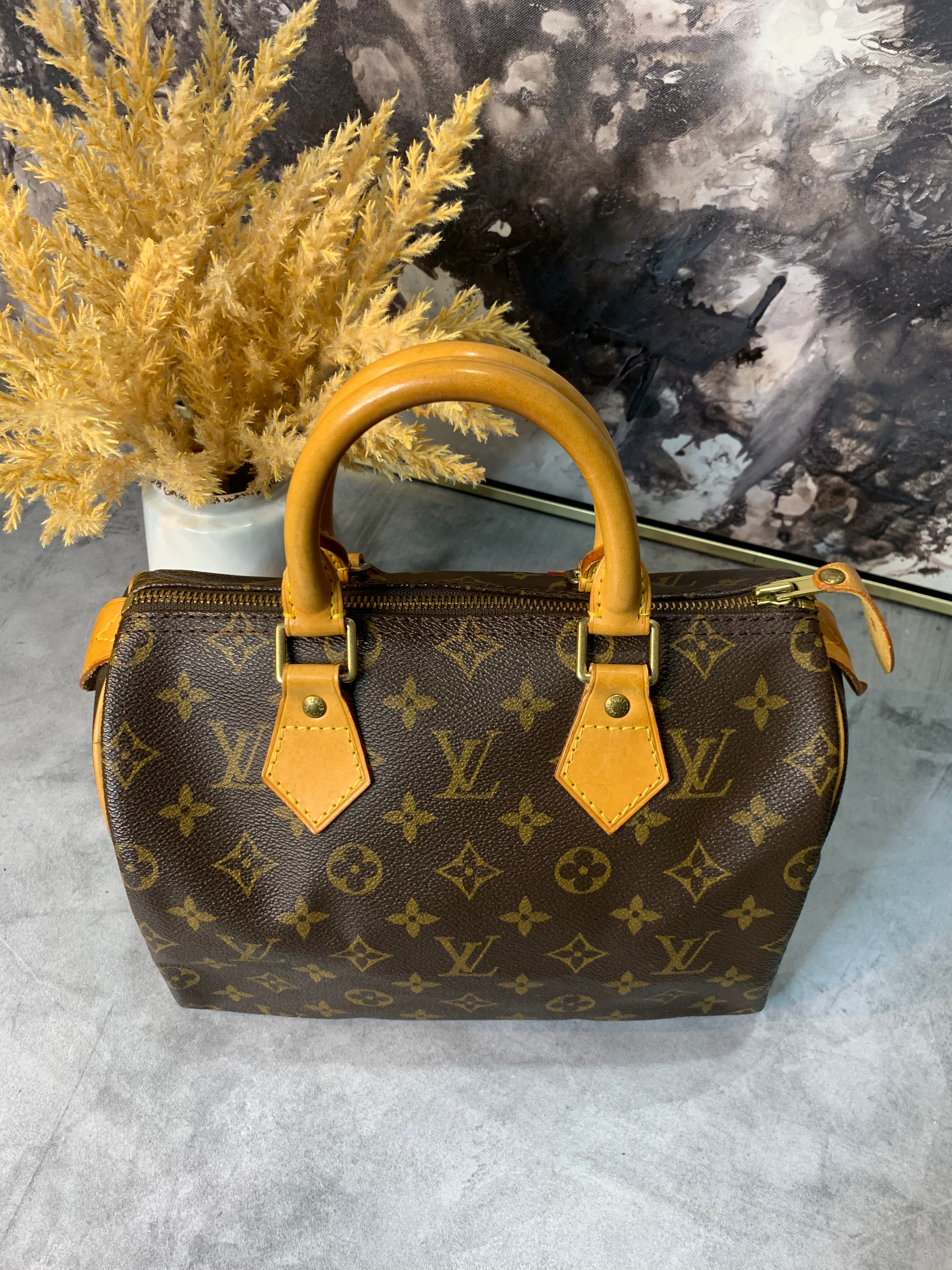 Louis Vuitton Speedy 25