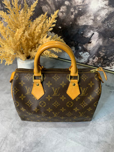 Louis Vuitton Speedy 25