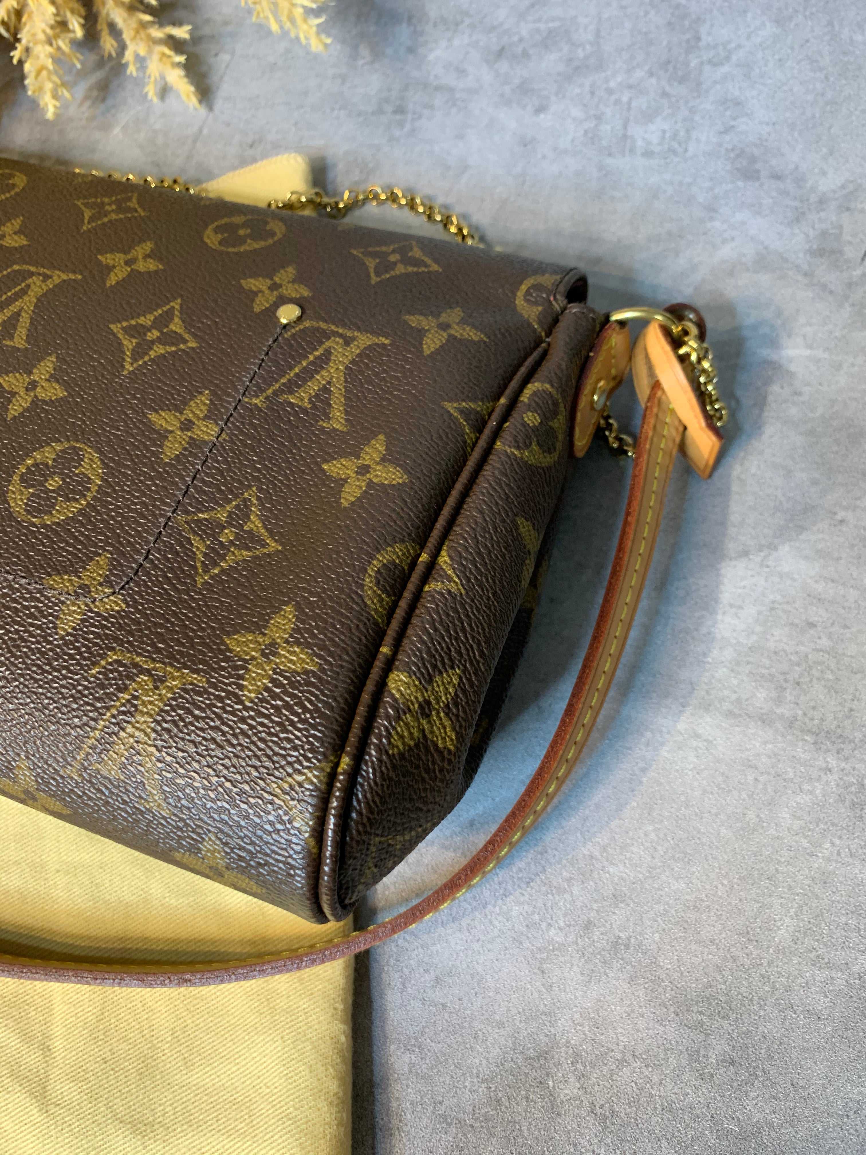 Louis Vuitton Favorite MM