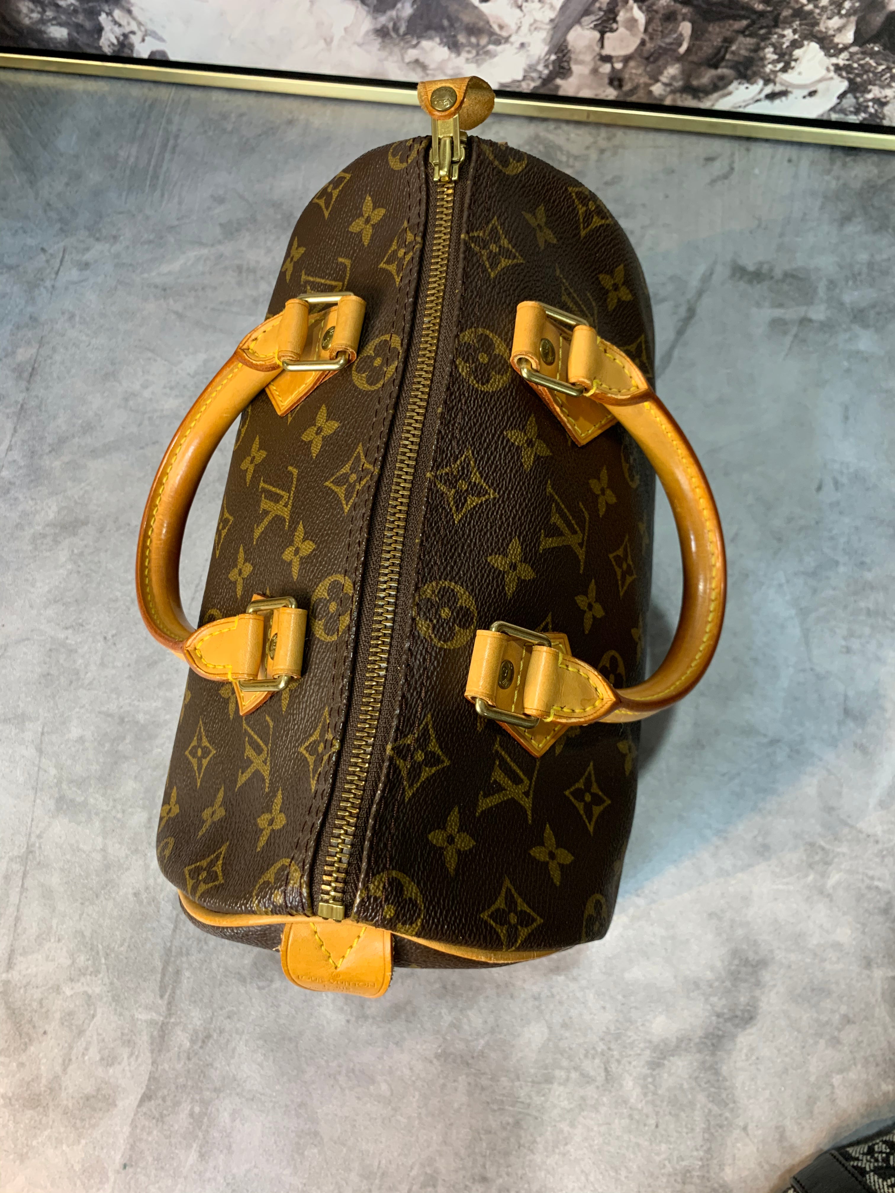 Louis Vuitton Speedy 25