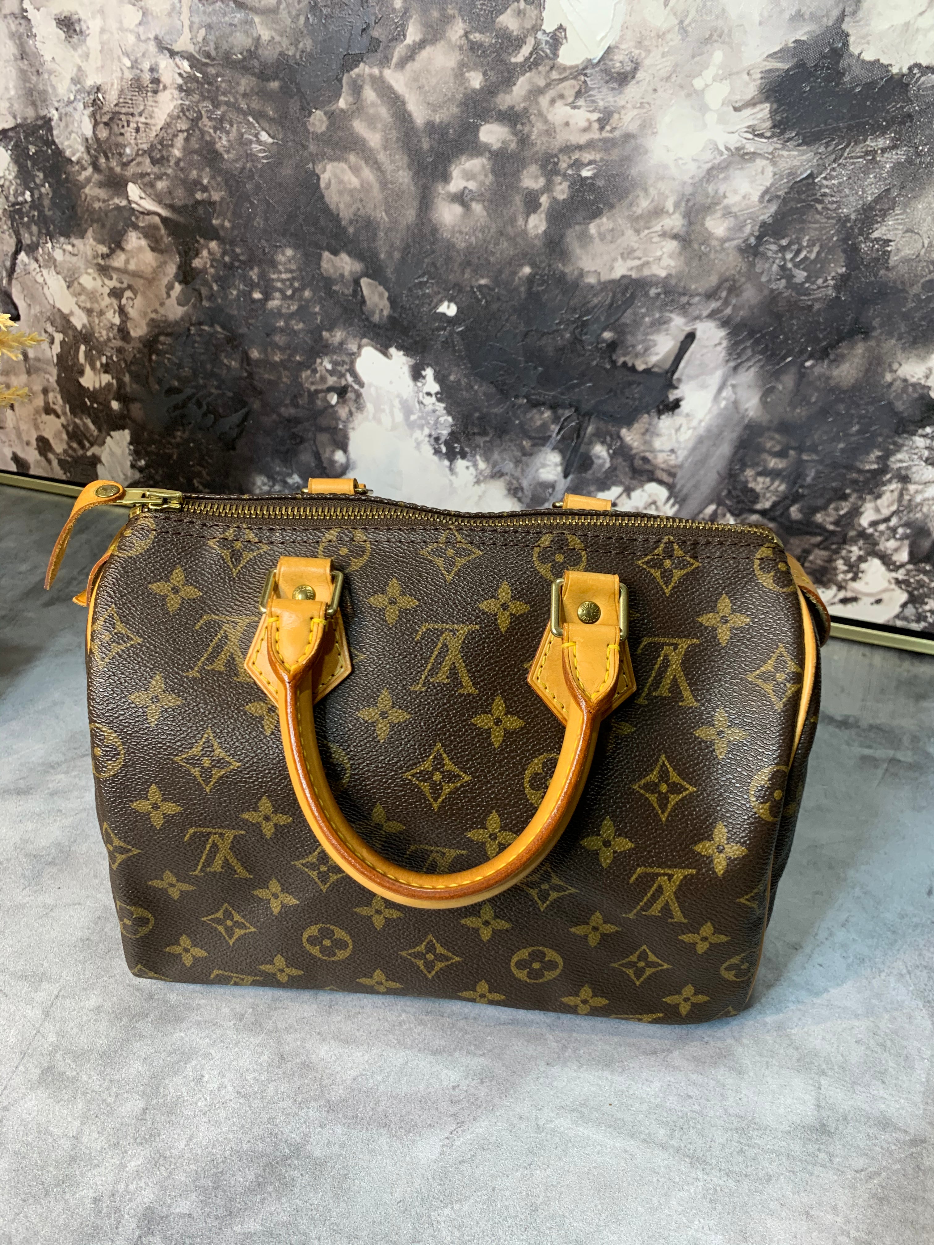 Louis Vuitton Speedy 25