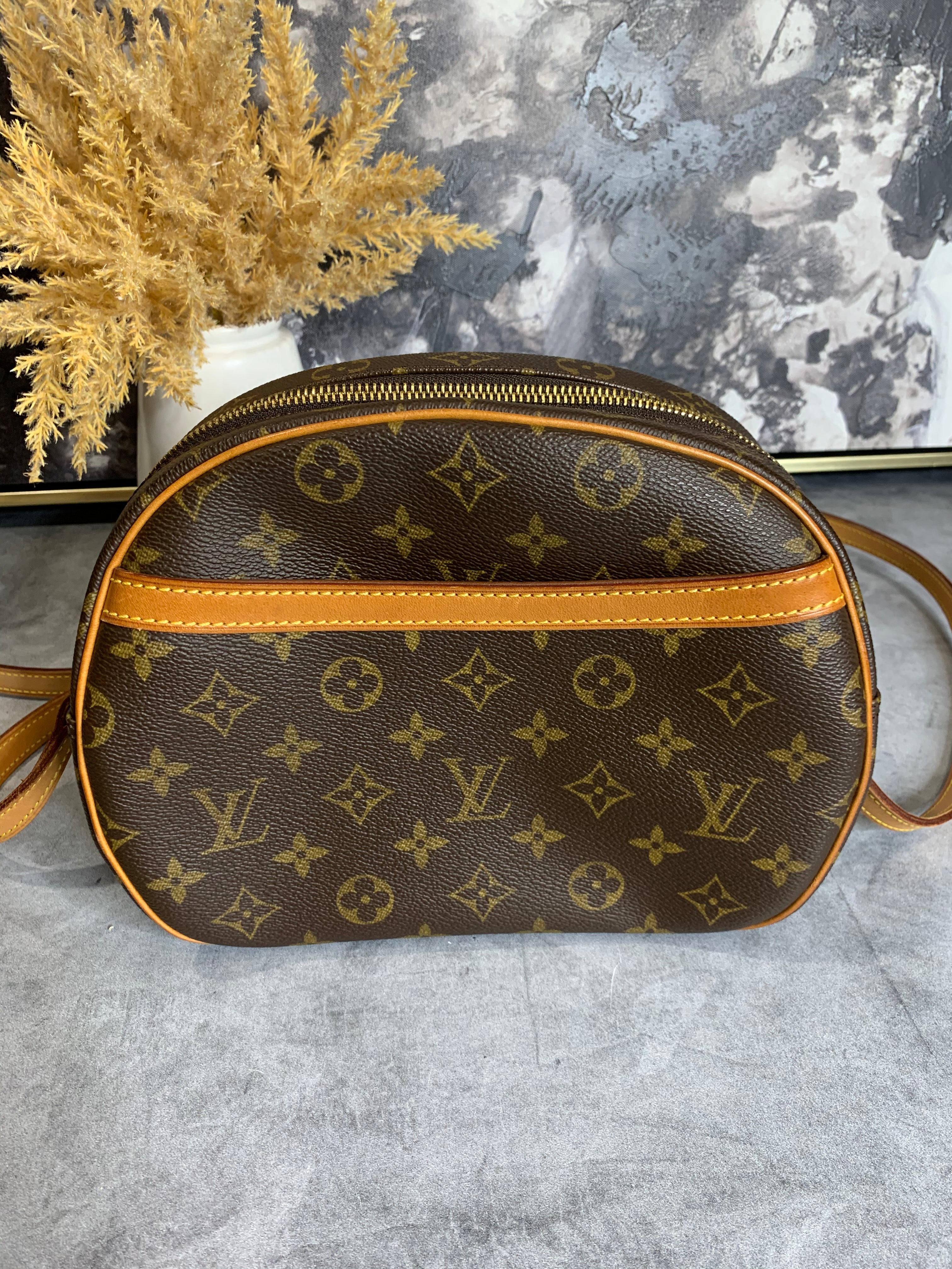 Louis-Vuitton-Monogram-Blois-Crossbody-Shoulder-Bag-M51221 – dct