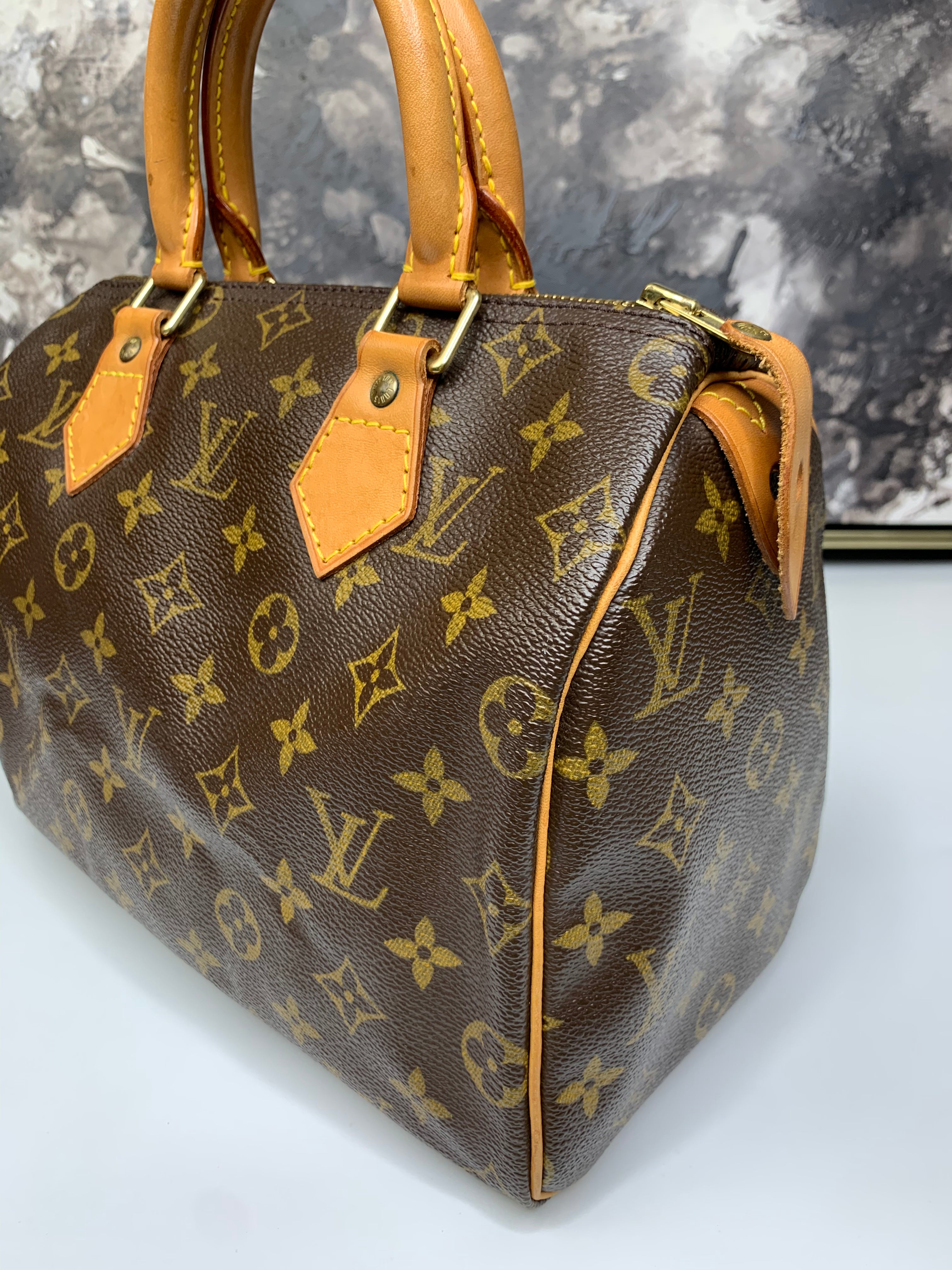 Louis Vuitton Speedy 25 – yourvintagelvoe