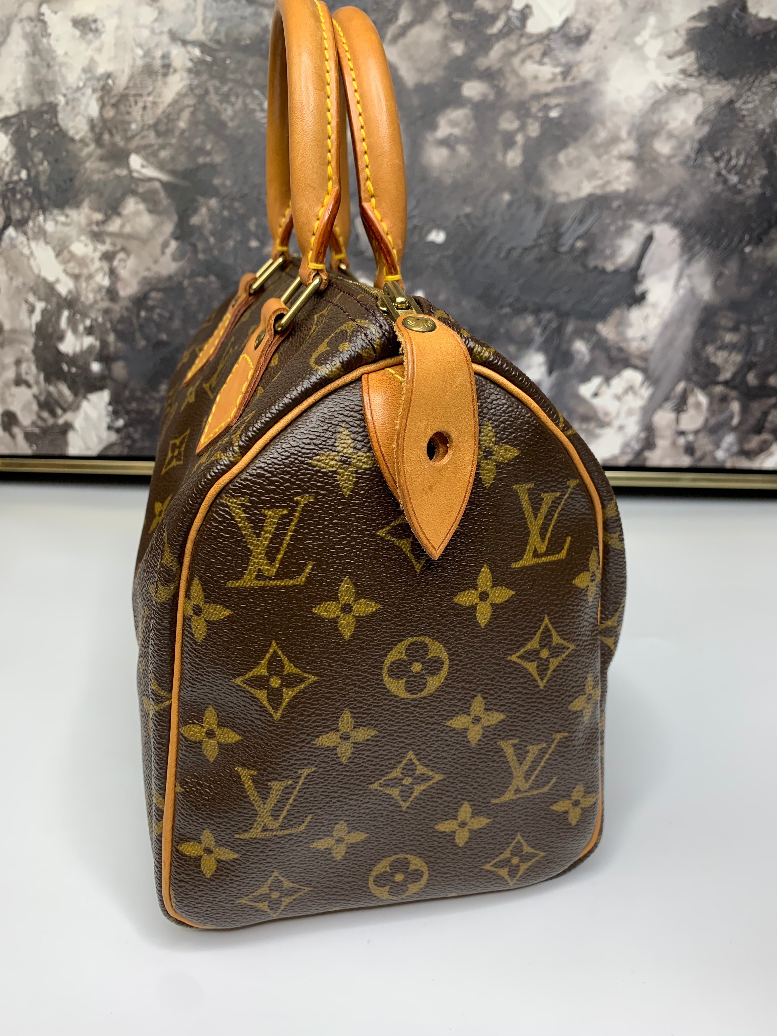 Louis Vuitton Speedy 25 – yourvintagelvoe