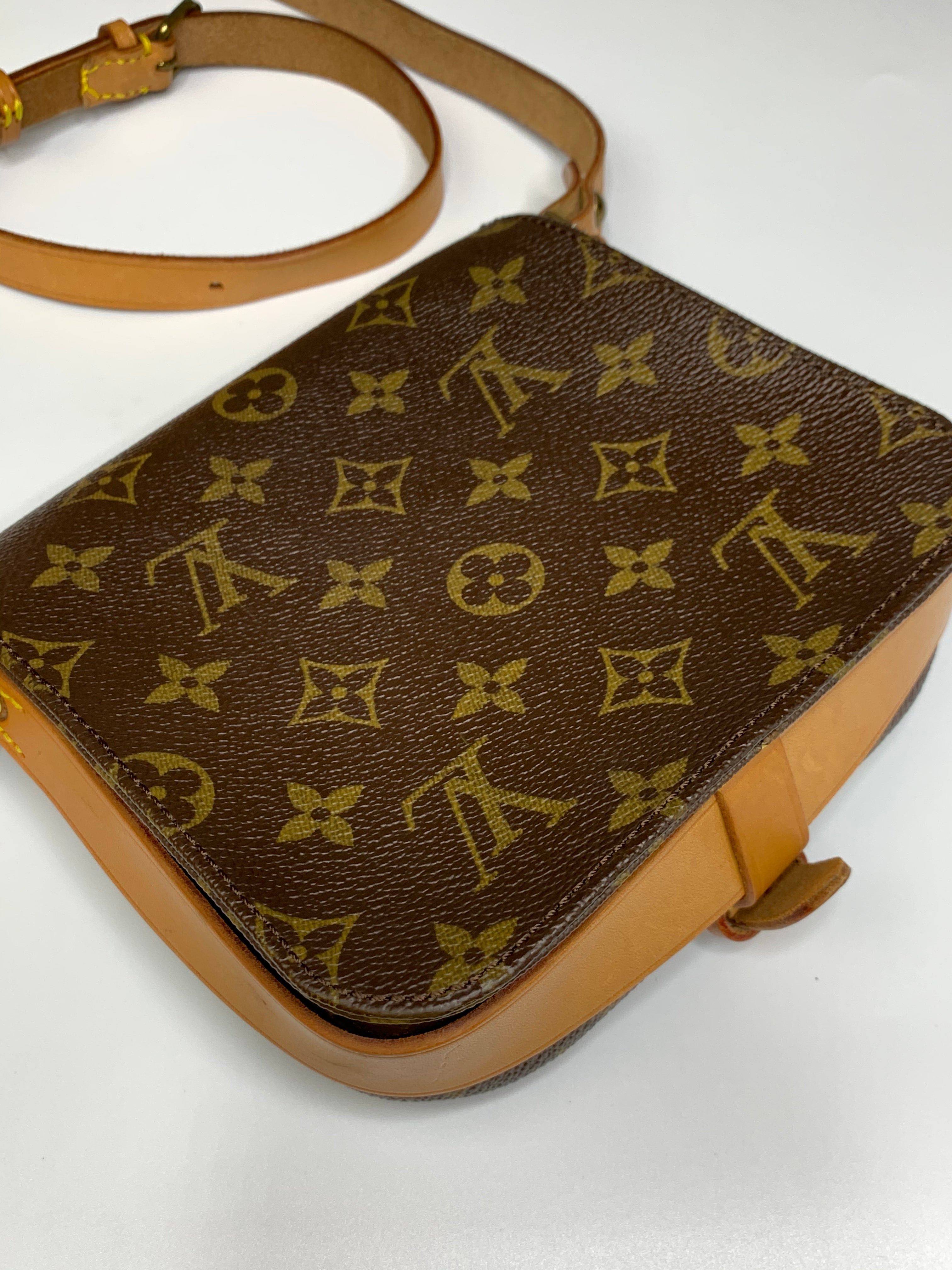 Louis Vuitton Monogram Cartouchiere PM Crossbody Bag 1025lv22