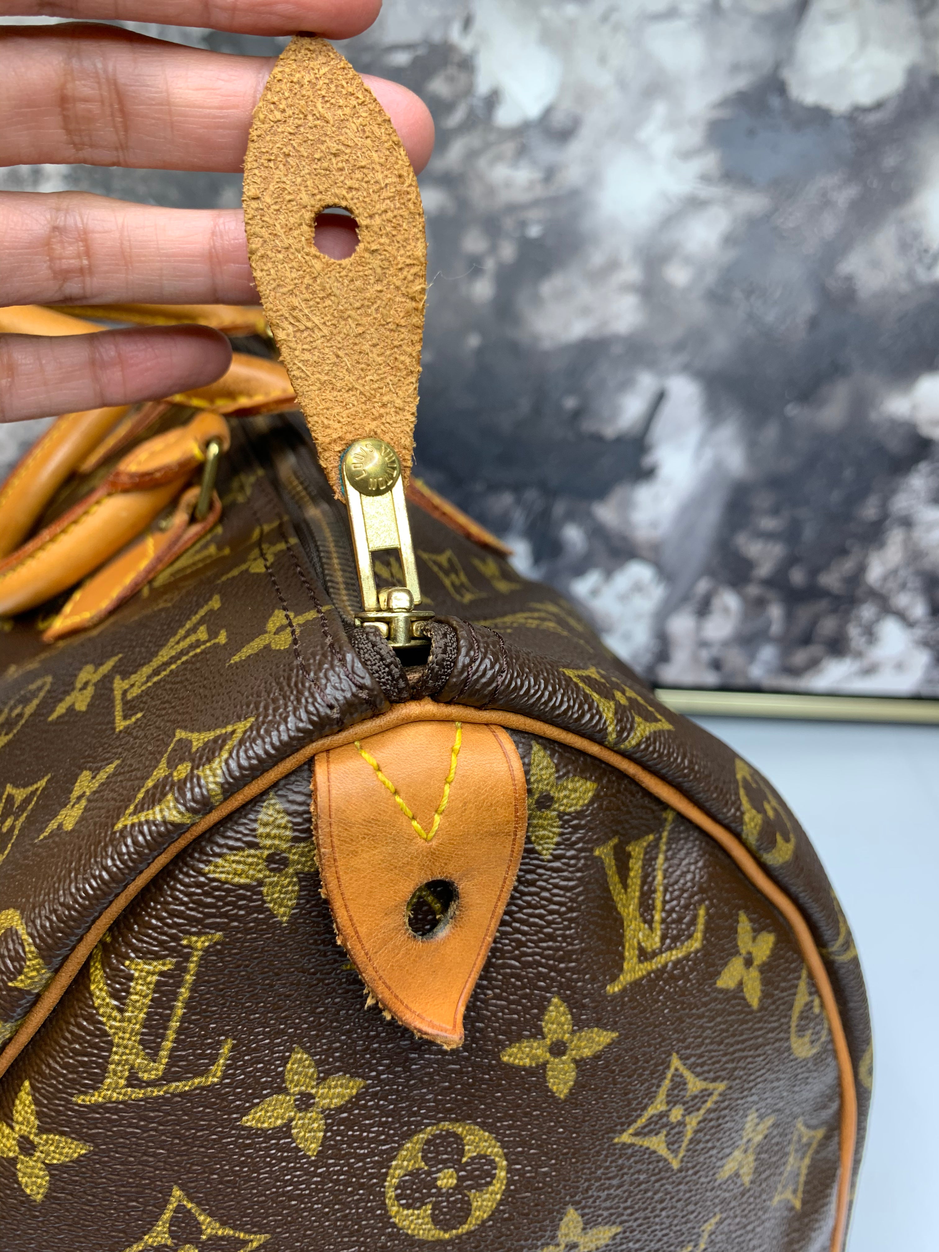 Louis Vuitton Speedy Handbag 40 Brown Cloth ref.693480 - Joli Closet