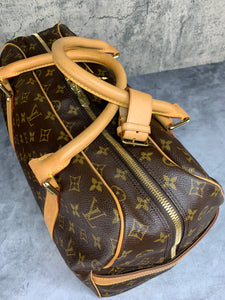 Louis Vuitton Carryall