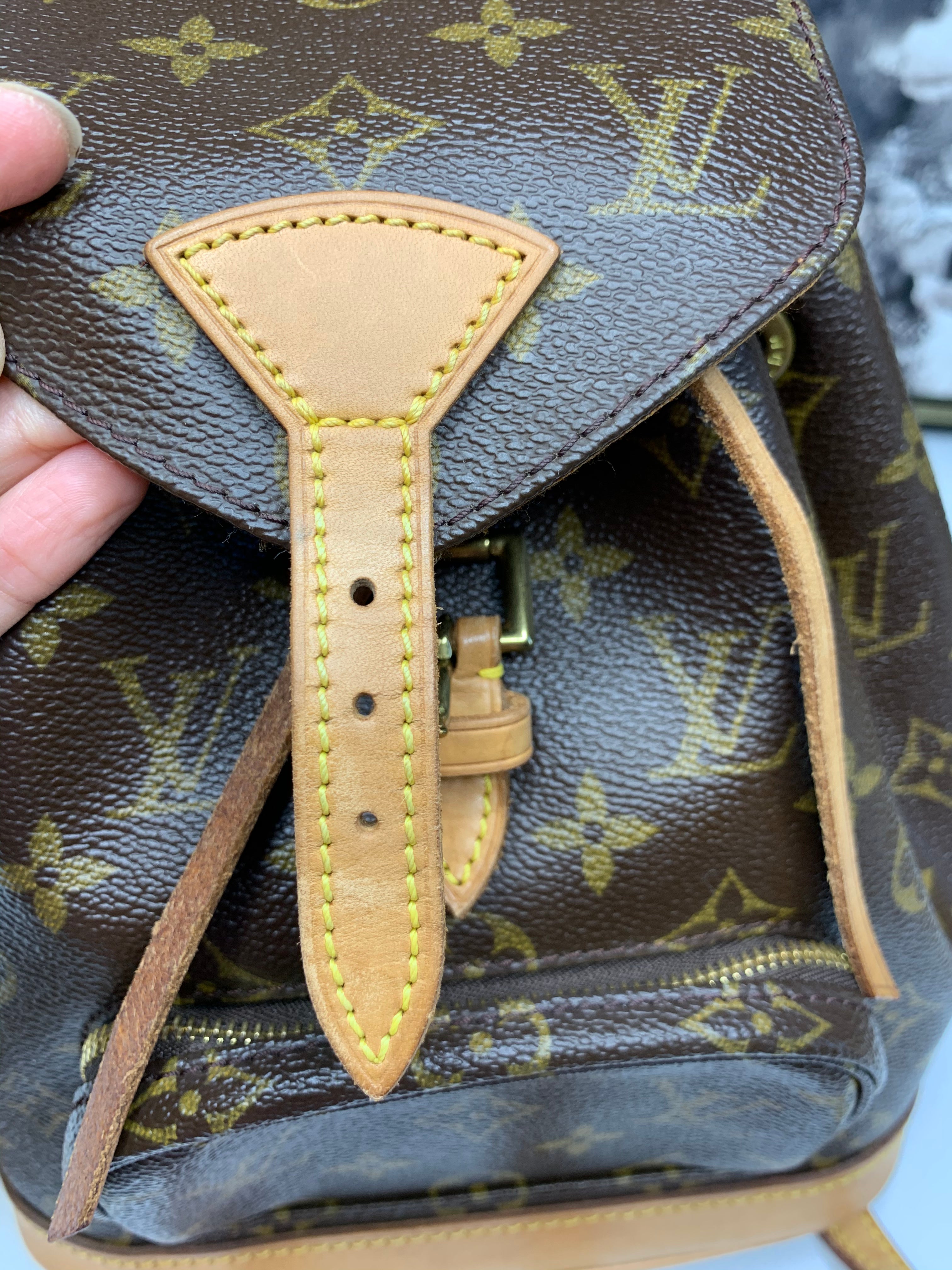 Louis Vuitton Montsouris PM