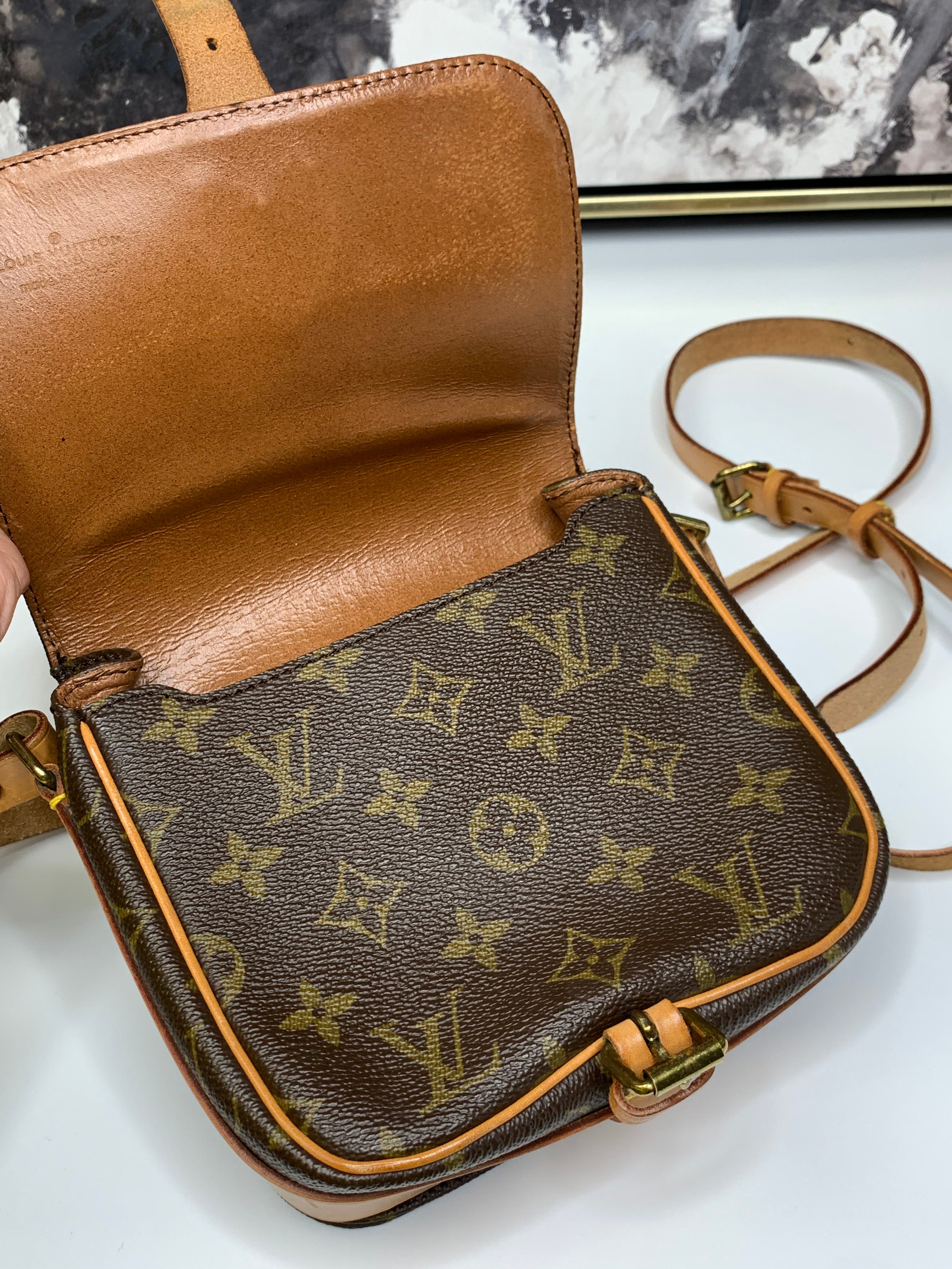 Louis Vuitton Monogram Mini Cartouchiere PM Crossbody Bag 1013lv8