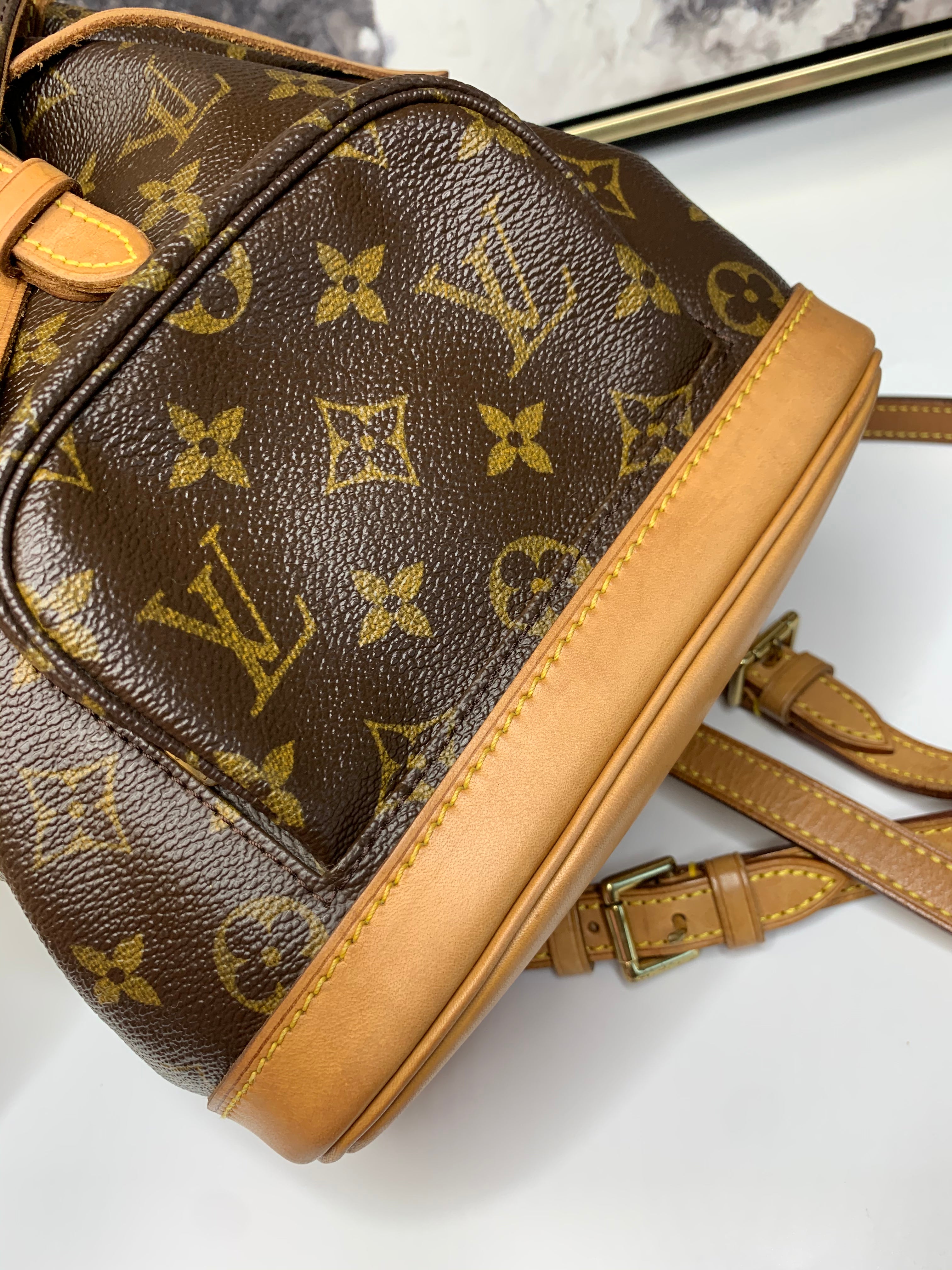 Louis Vuitton Montsouris PM