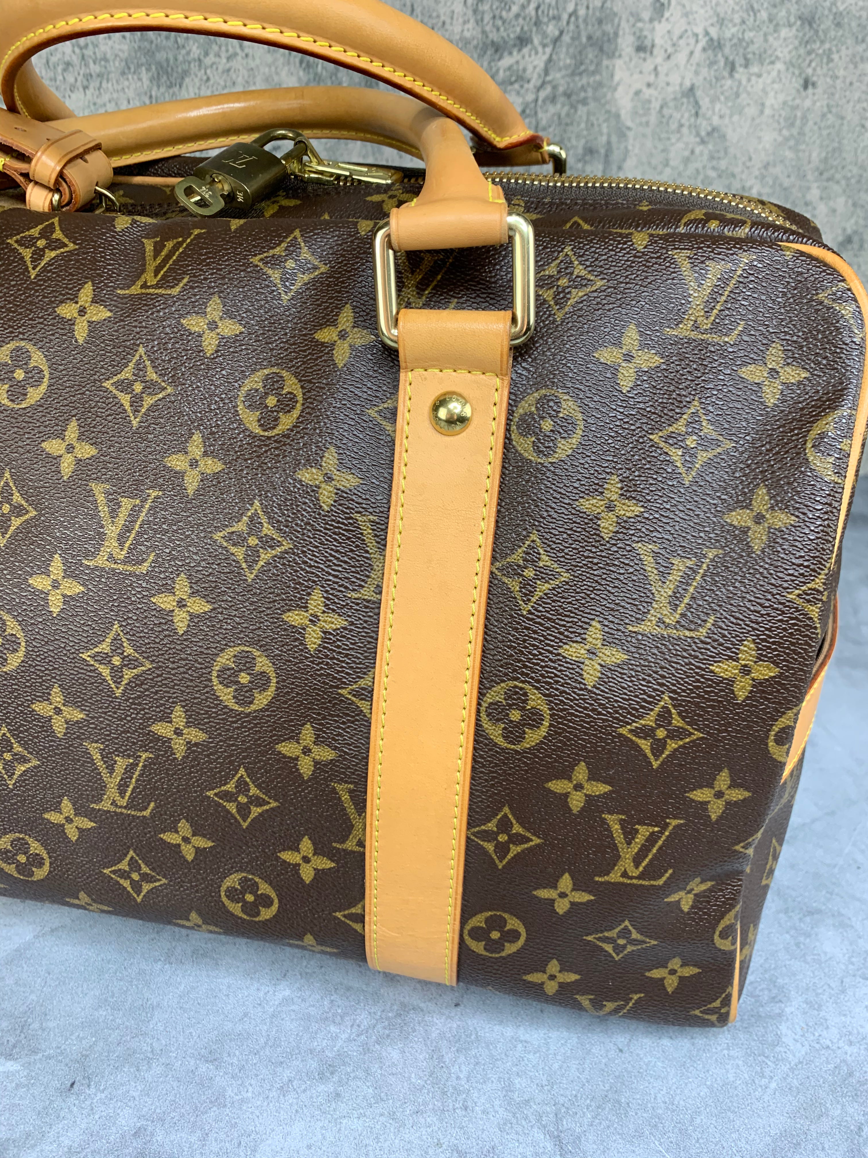 Louis Vuitton Carryall