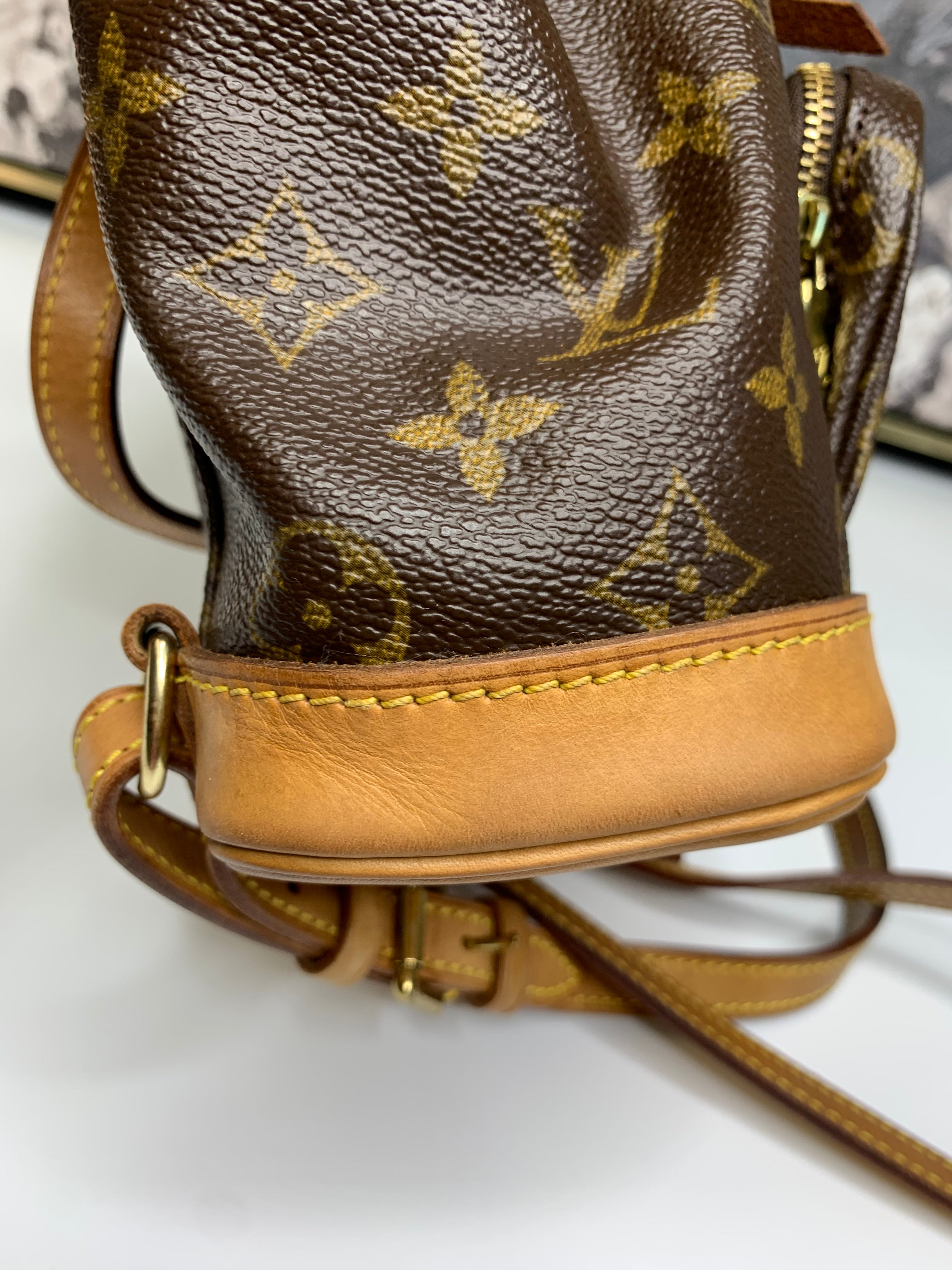 Louis Vuitton Montsouris PM